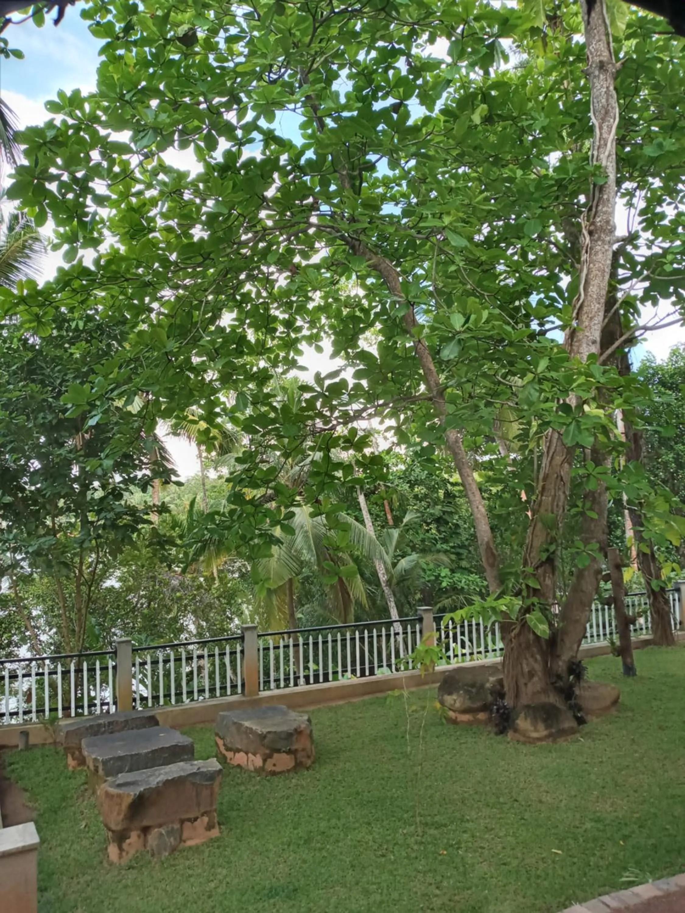 Natural landscape in Villa Birdlake