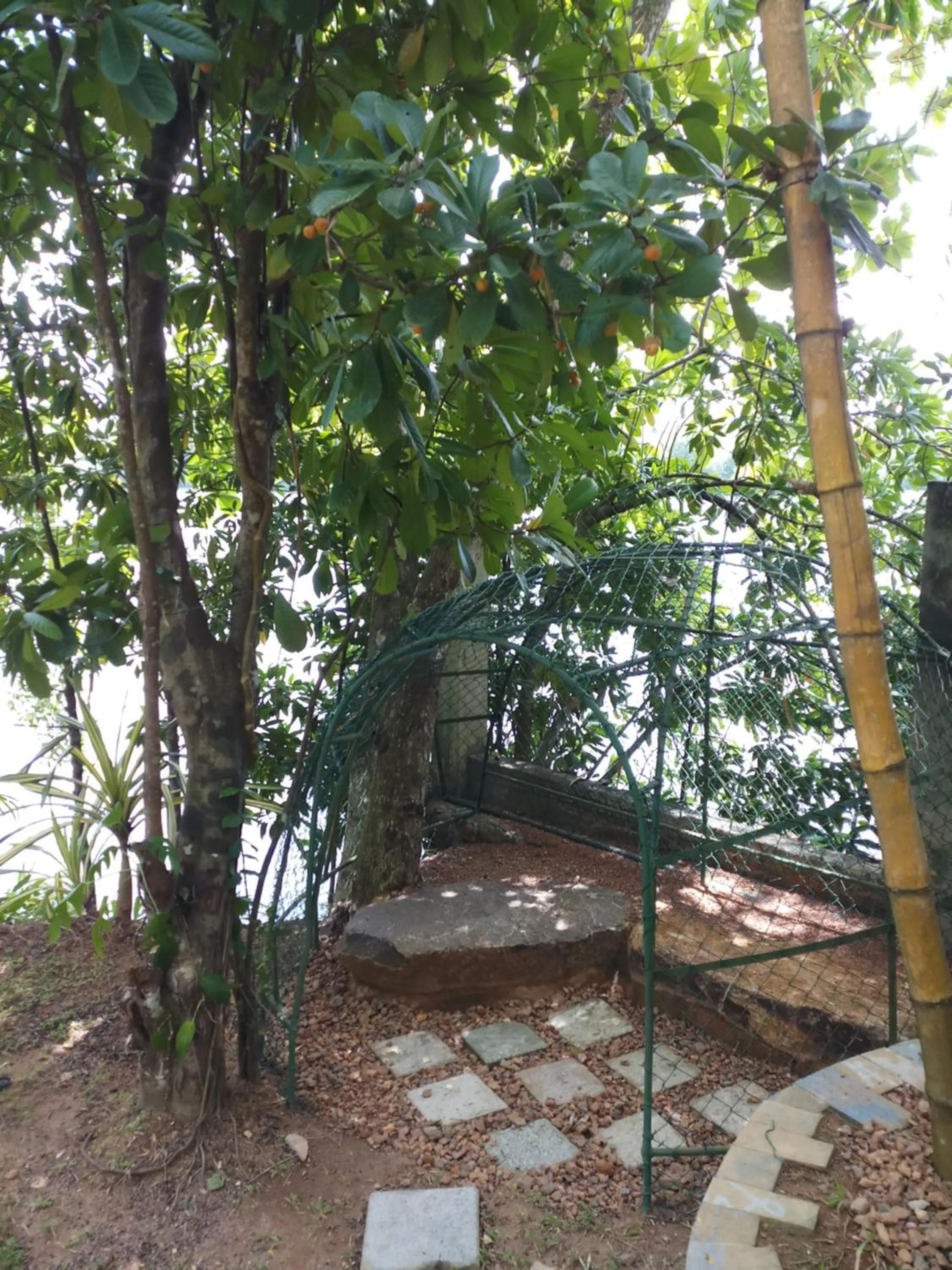 Garden in Villa Birdlake
