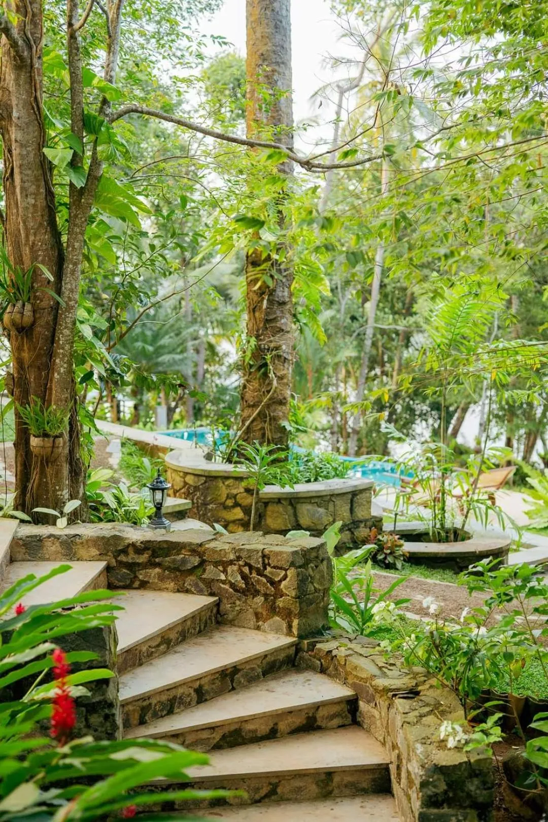 Garden in Villa Birdlake