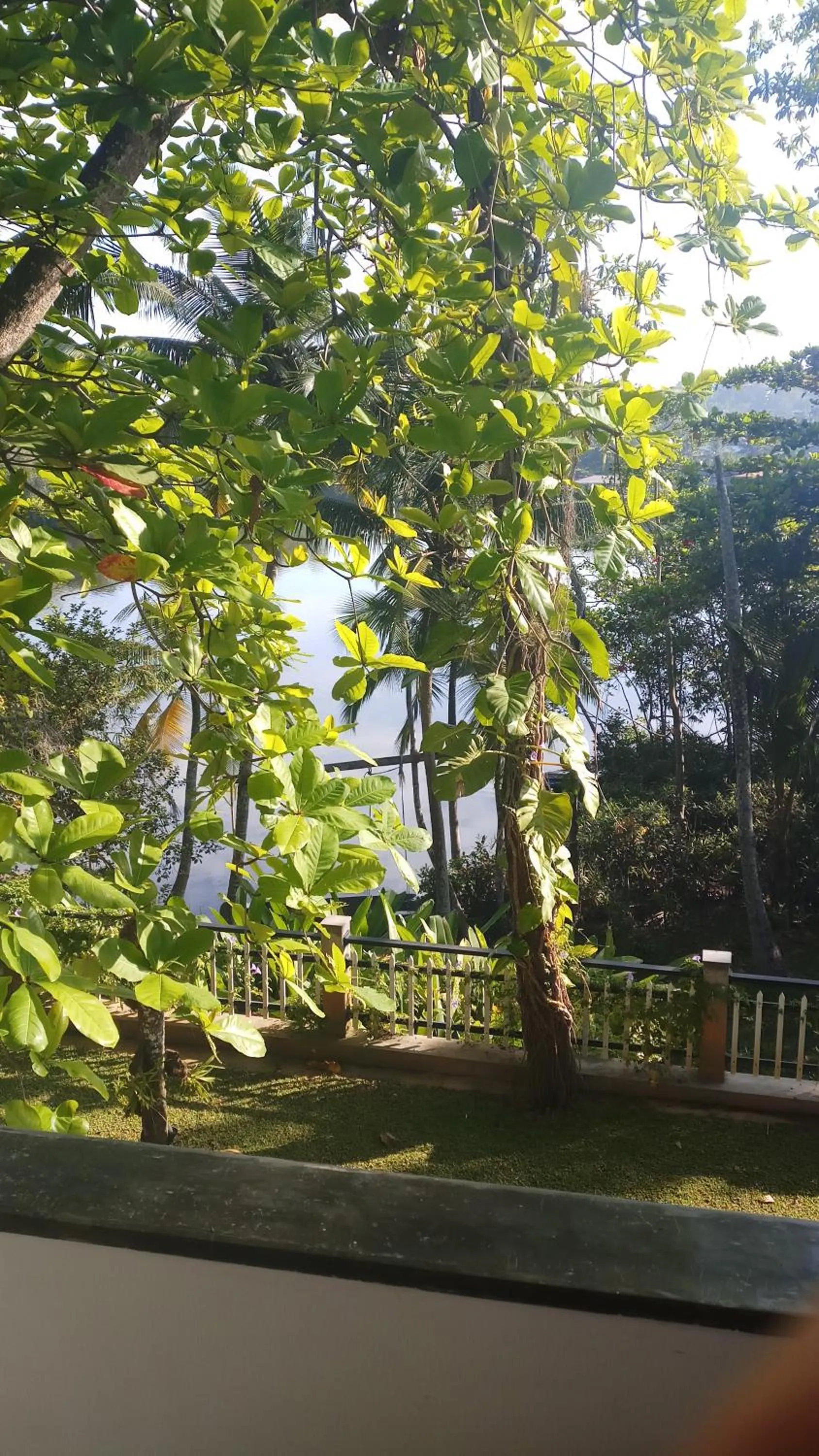 Garden view in Villa Birdlake