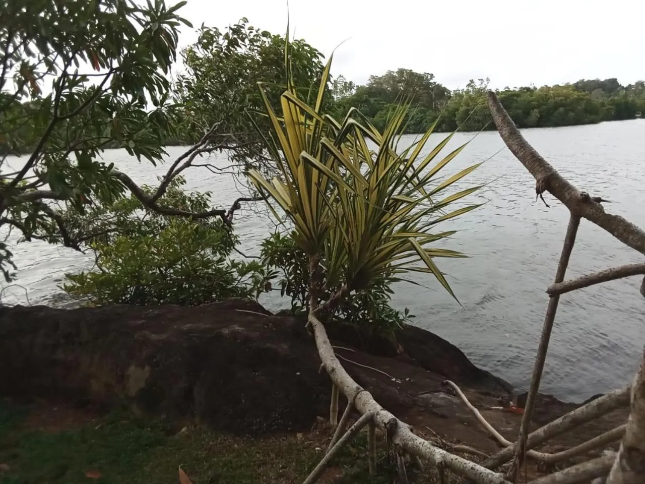 Natural landscape in Villa Birdlake