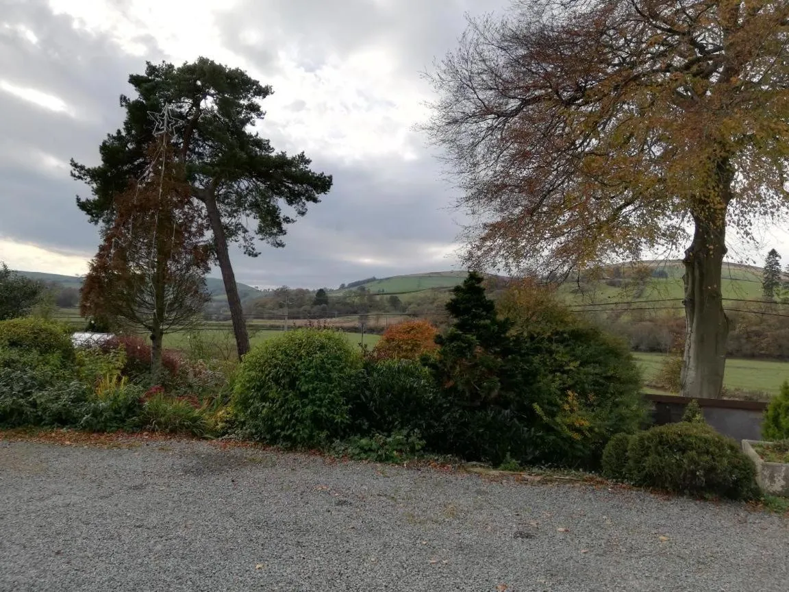 View (from property/room) in Lion Hotel