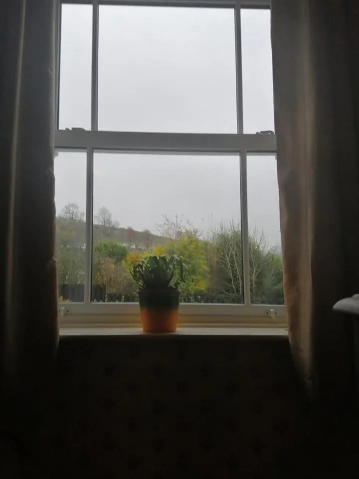 Garden view in Lion Hotel