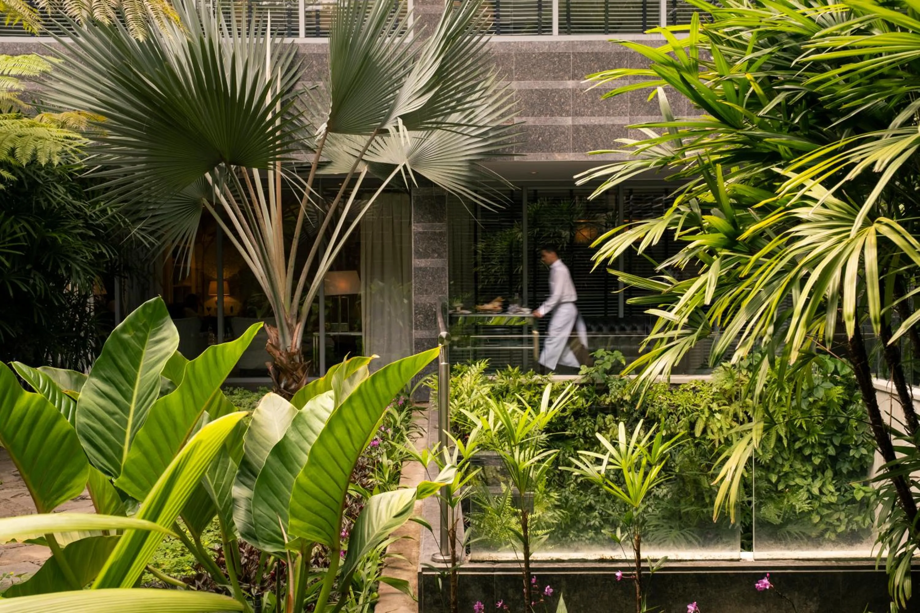 Garden in Hotel Cayena Caracas a LHW