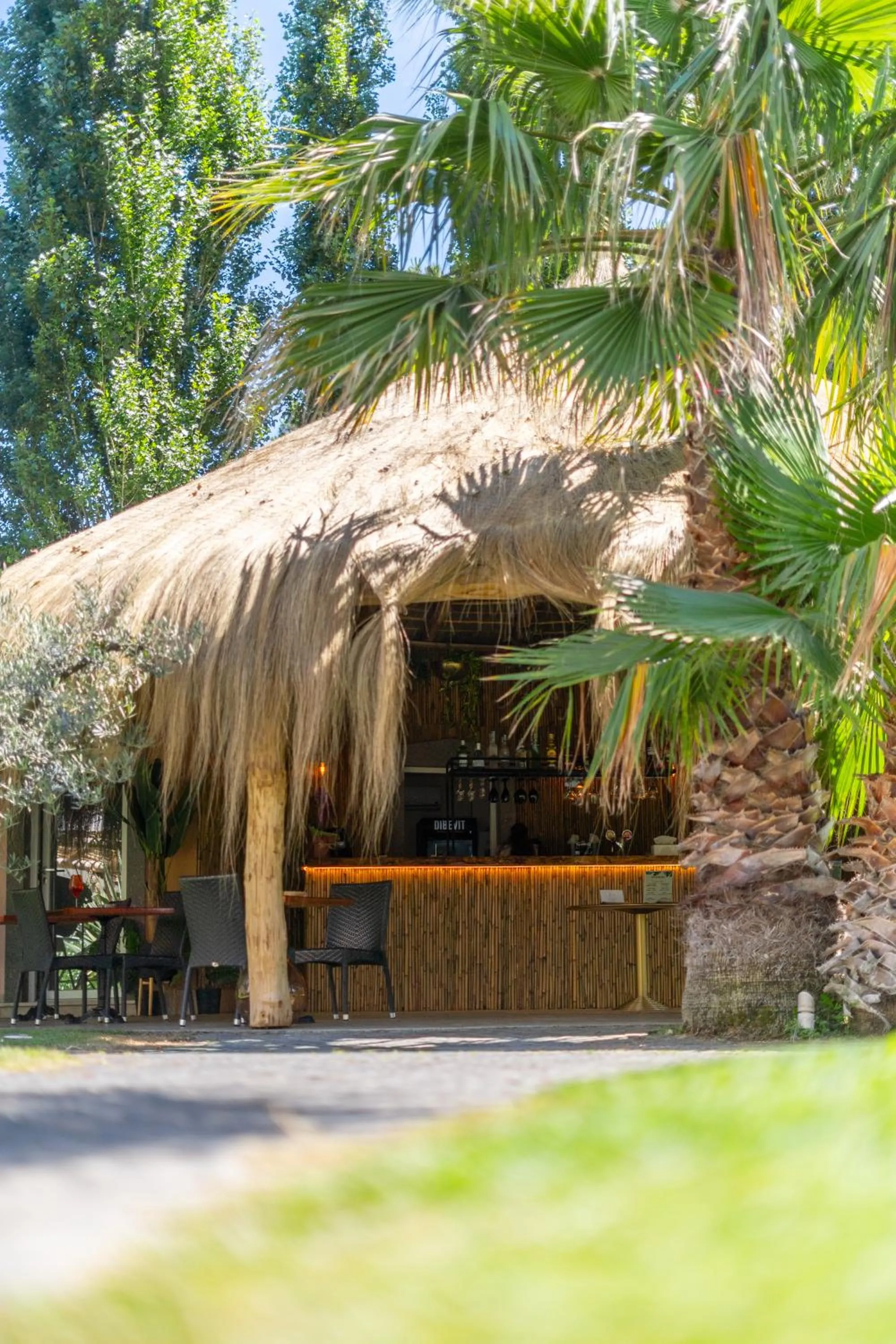 Restaurant/places to eat in Hotel Isola Sacra Rome Airport