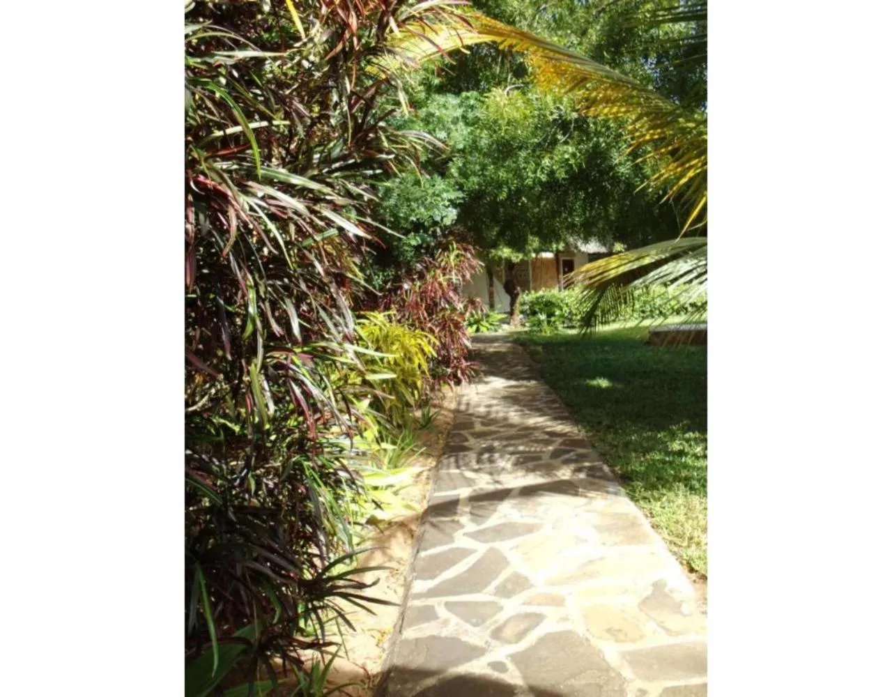 Property building in Watamu Eco Villas