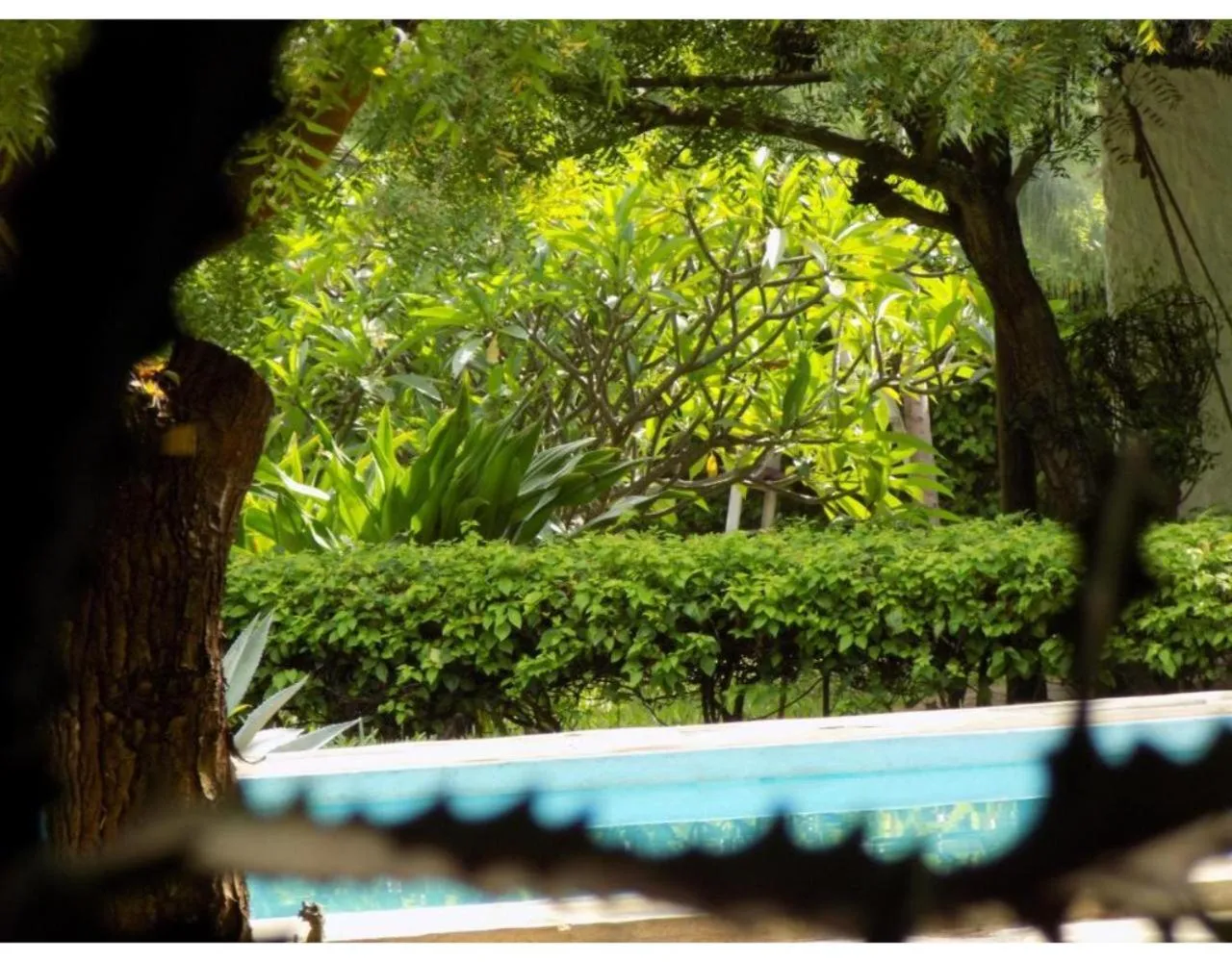 Pool view in Watamu Eco Villas