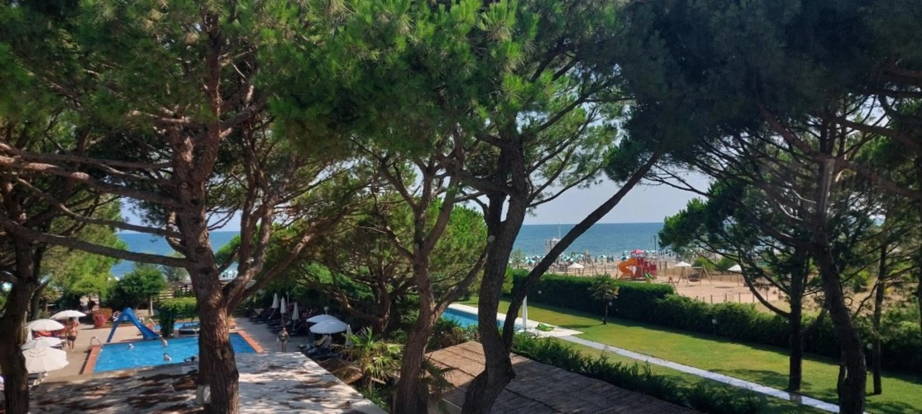 Natural landscape in Hotel Viña del Mar Pineta