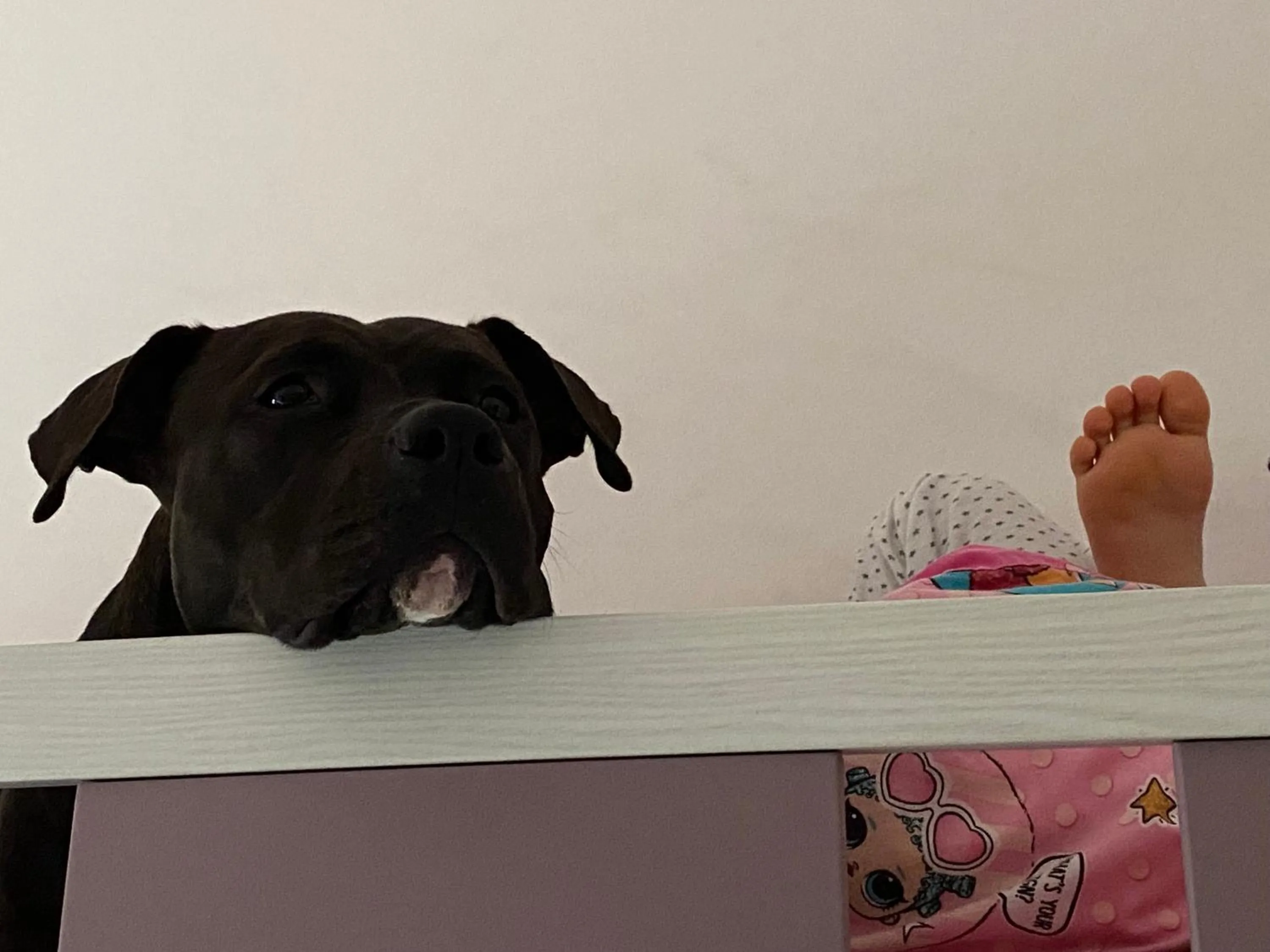 Hotel Viña del Mar Pineta