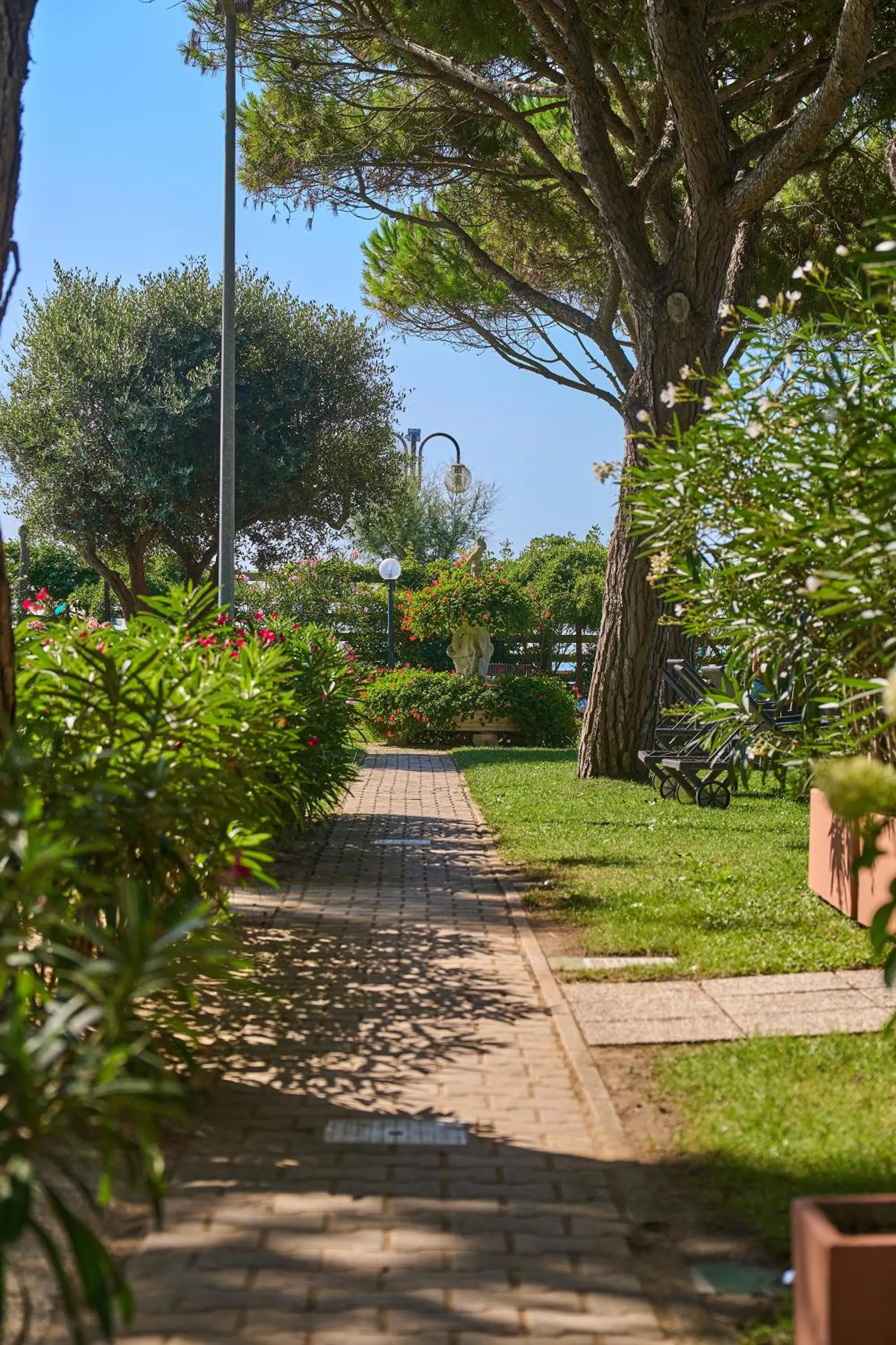 Garden view in Hotel Viña del Mar Pineta