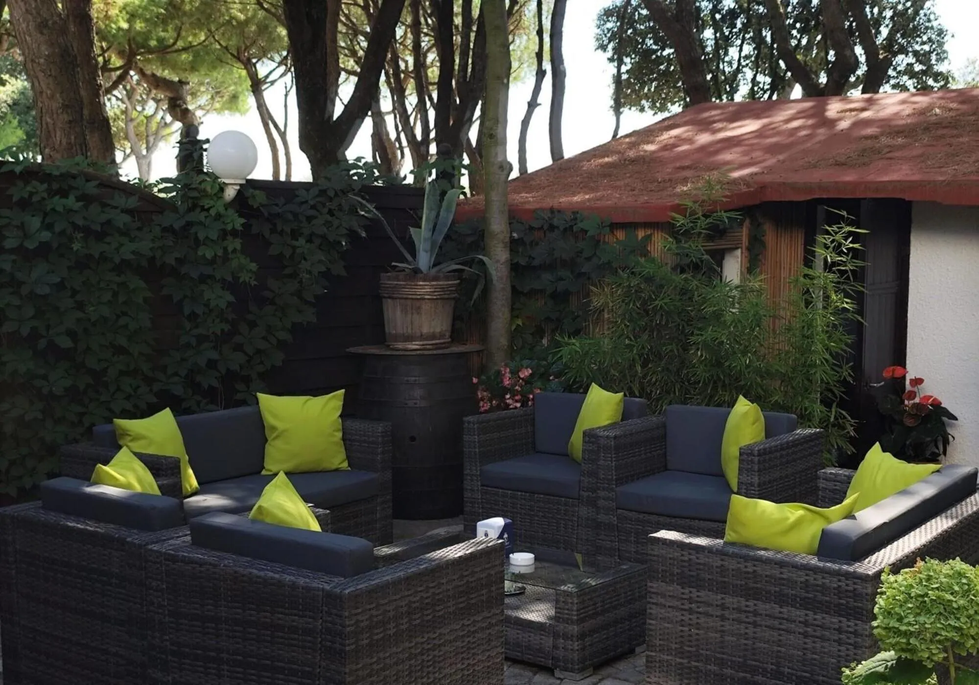 Garden in Hotel Viña del Mar Pineta