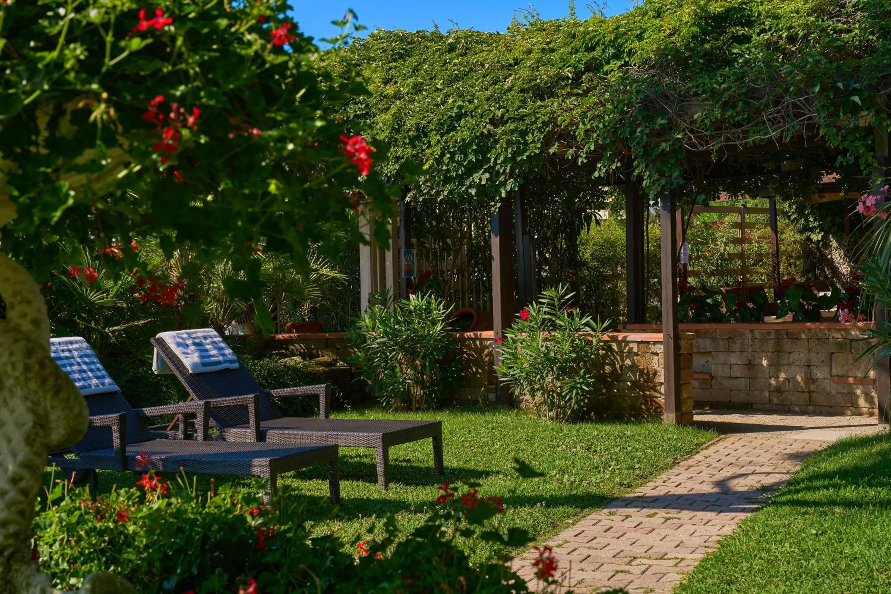 Garden view in Hotel Viña del Mar Pineta