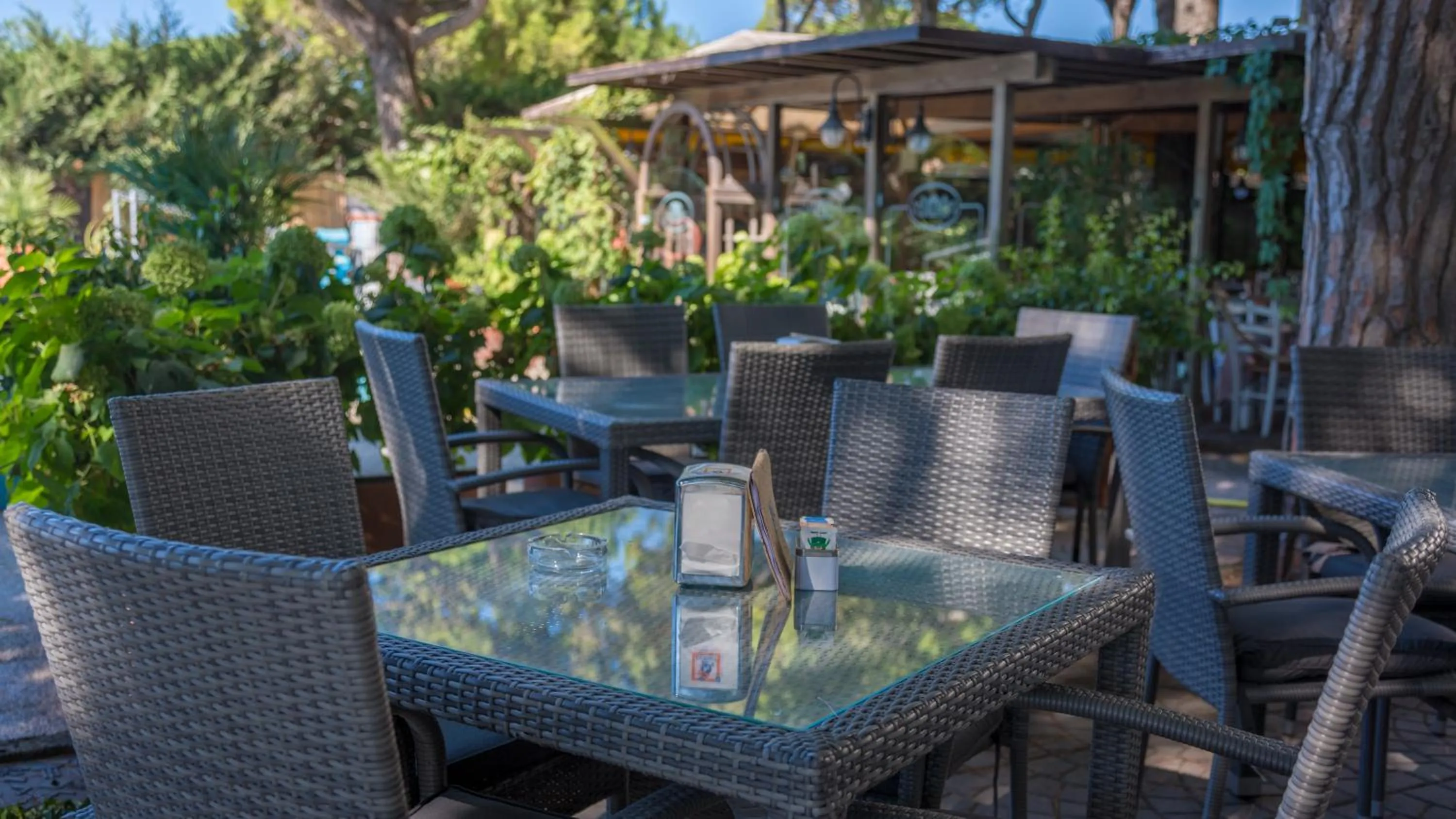 Lounge or bar in Hotel Viña del Mar Pineta