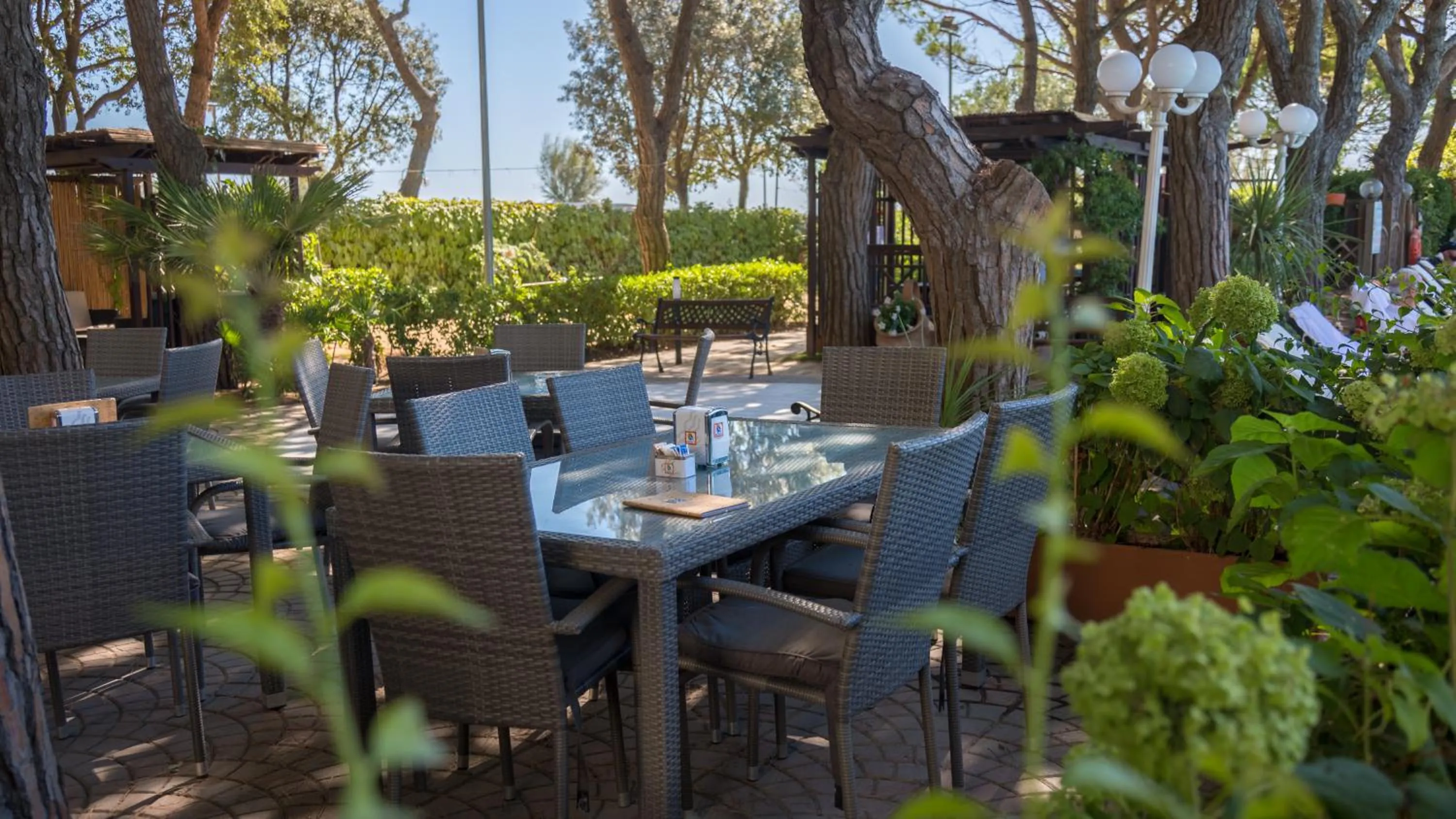 Lounge or bar in Hotel Viña del Mar Pineta