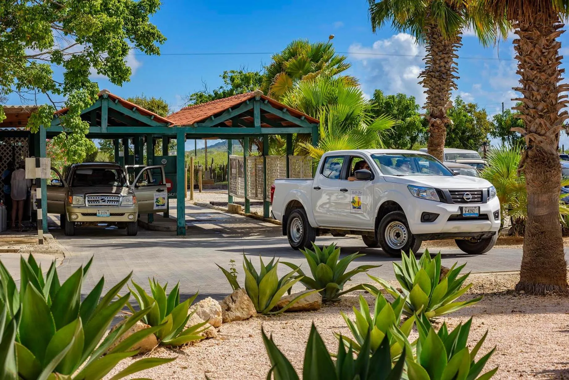 Property building in Buddy Dive Resort