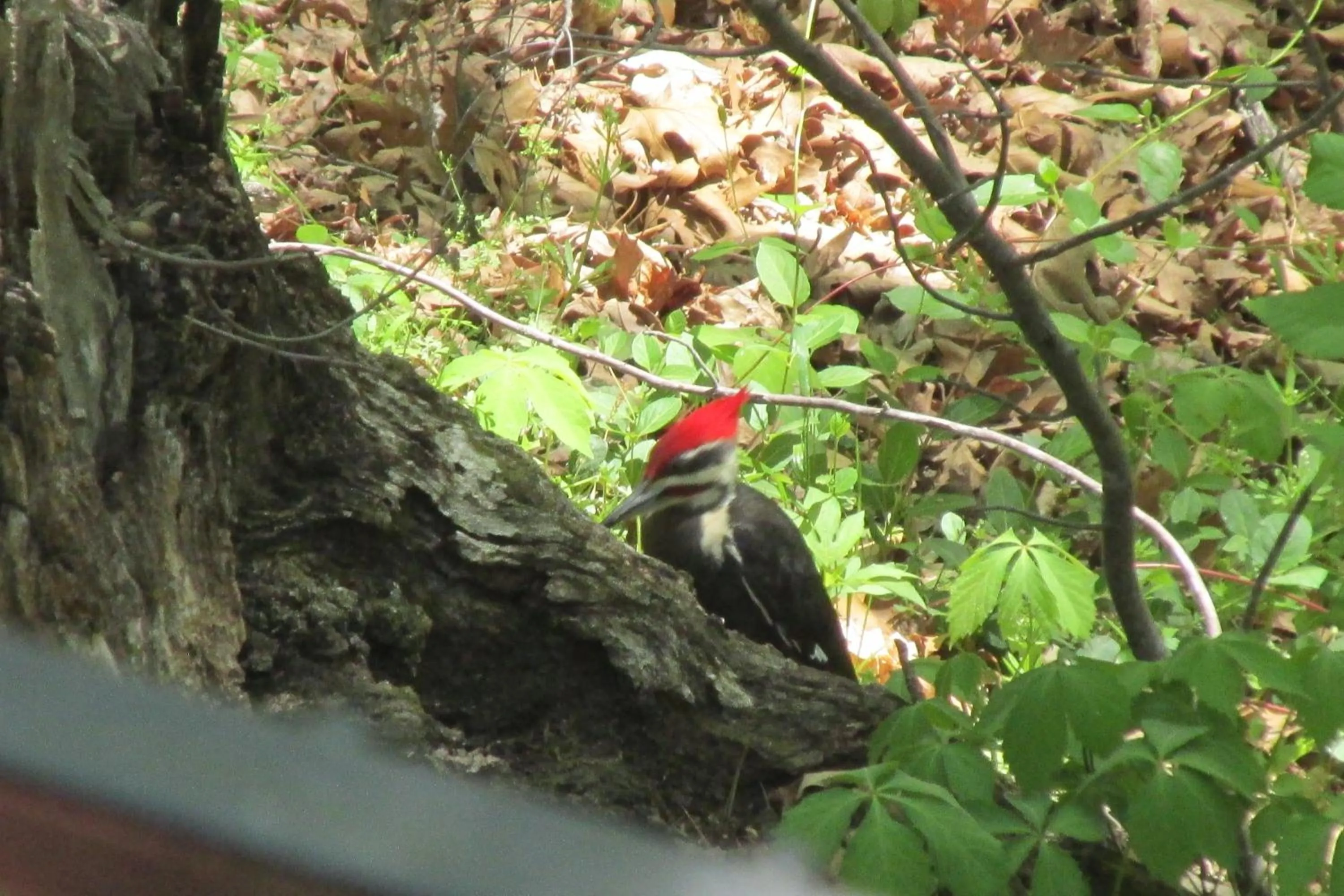 Area and facilities in Brydan Suites