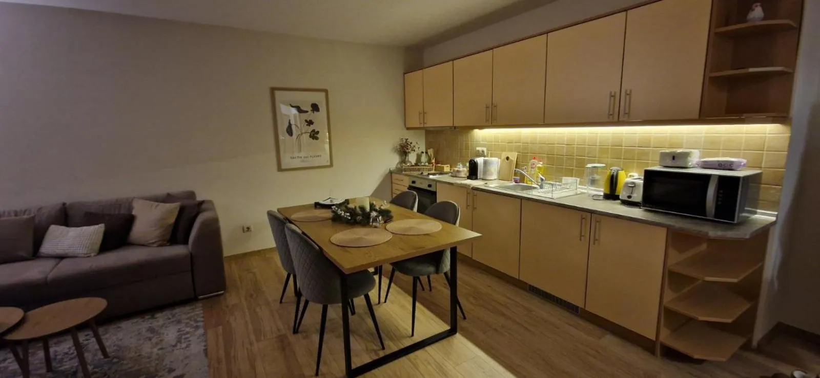 Free SPA Pirin lodge cosy apartment