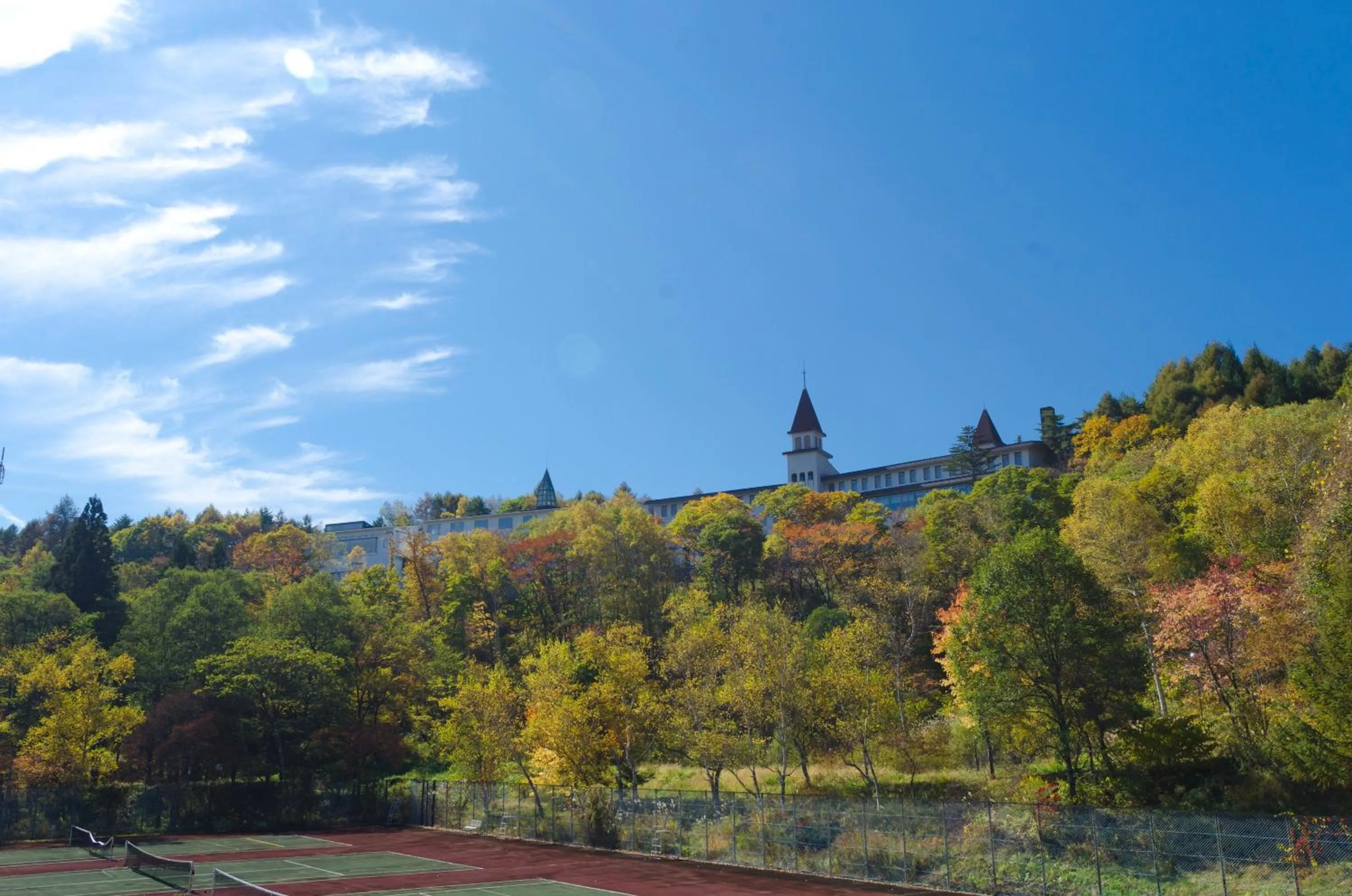 View (from property/room) in Arcadia