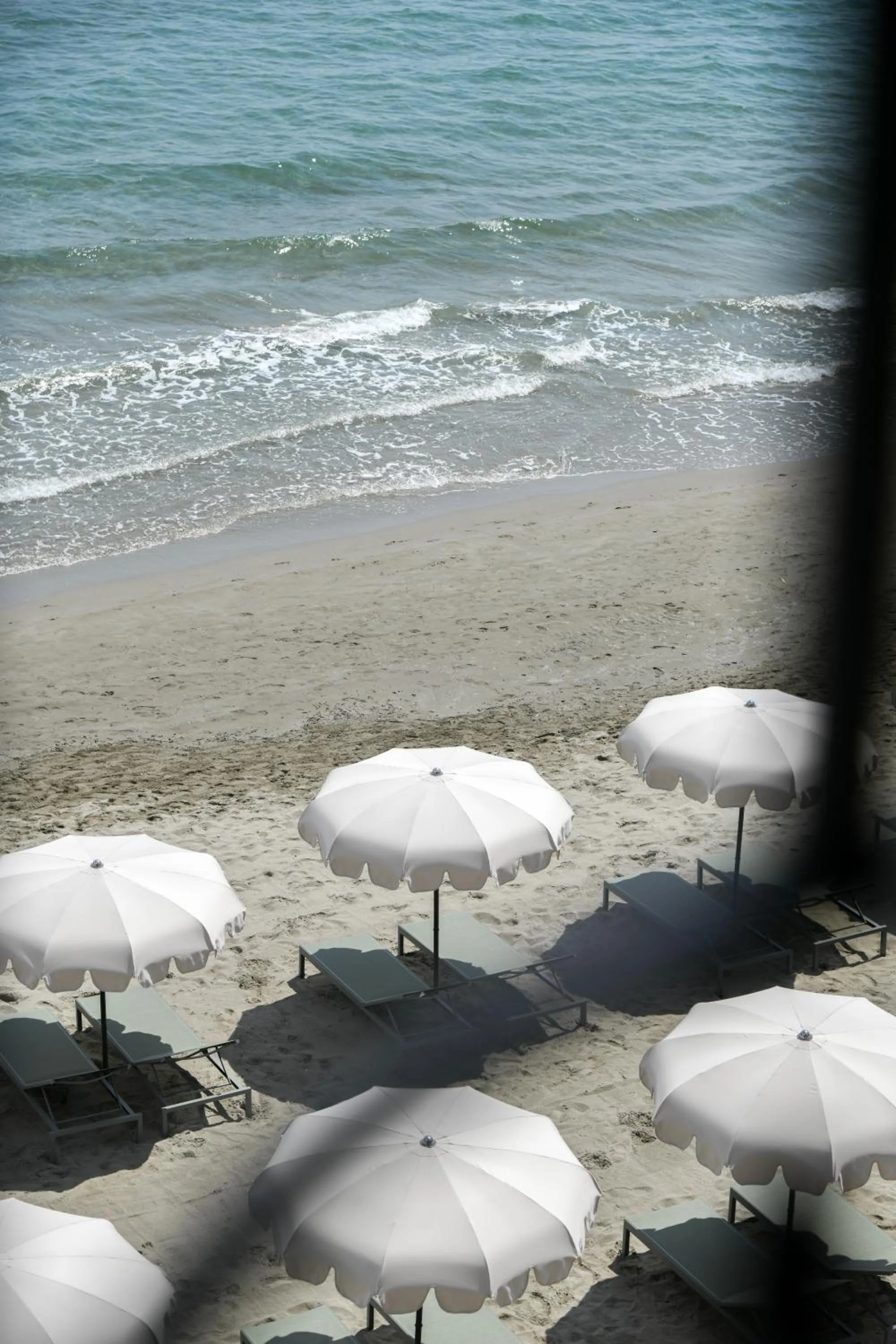 Natural landscape in Hotel Windsor