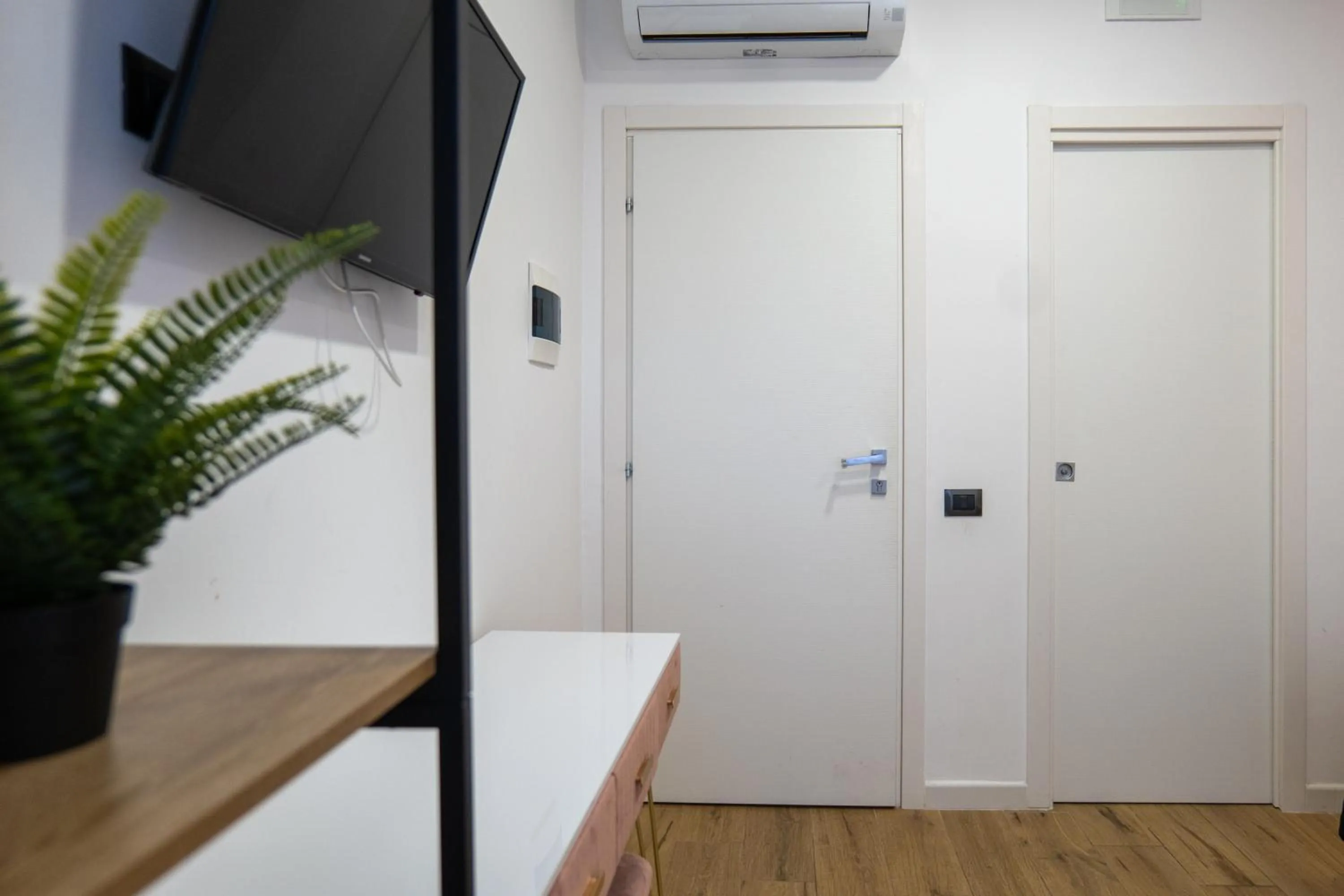 TV and multimedia in Dalmazia 33