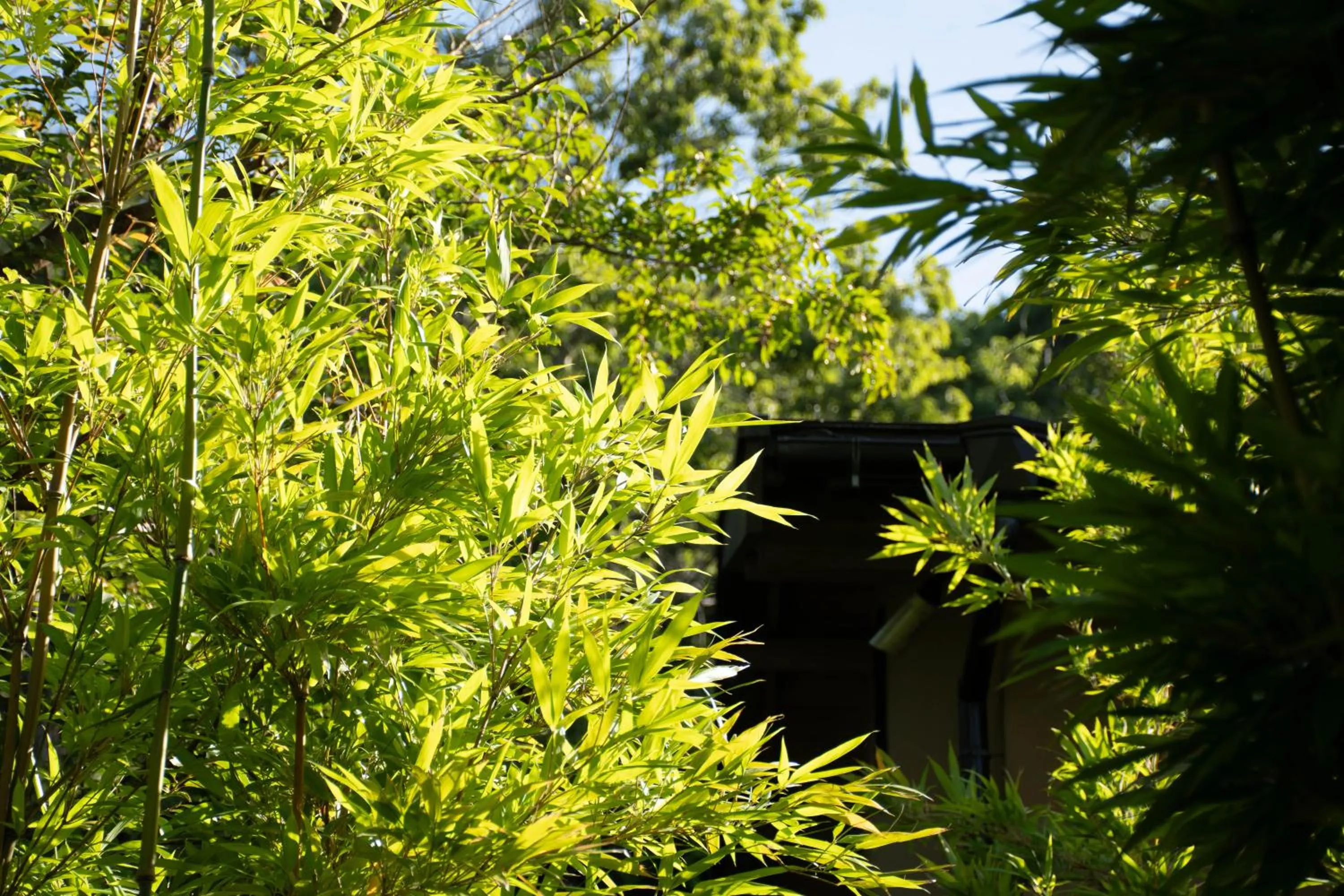 Garden in Hanare Yado Yosizumi