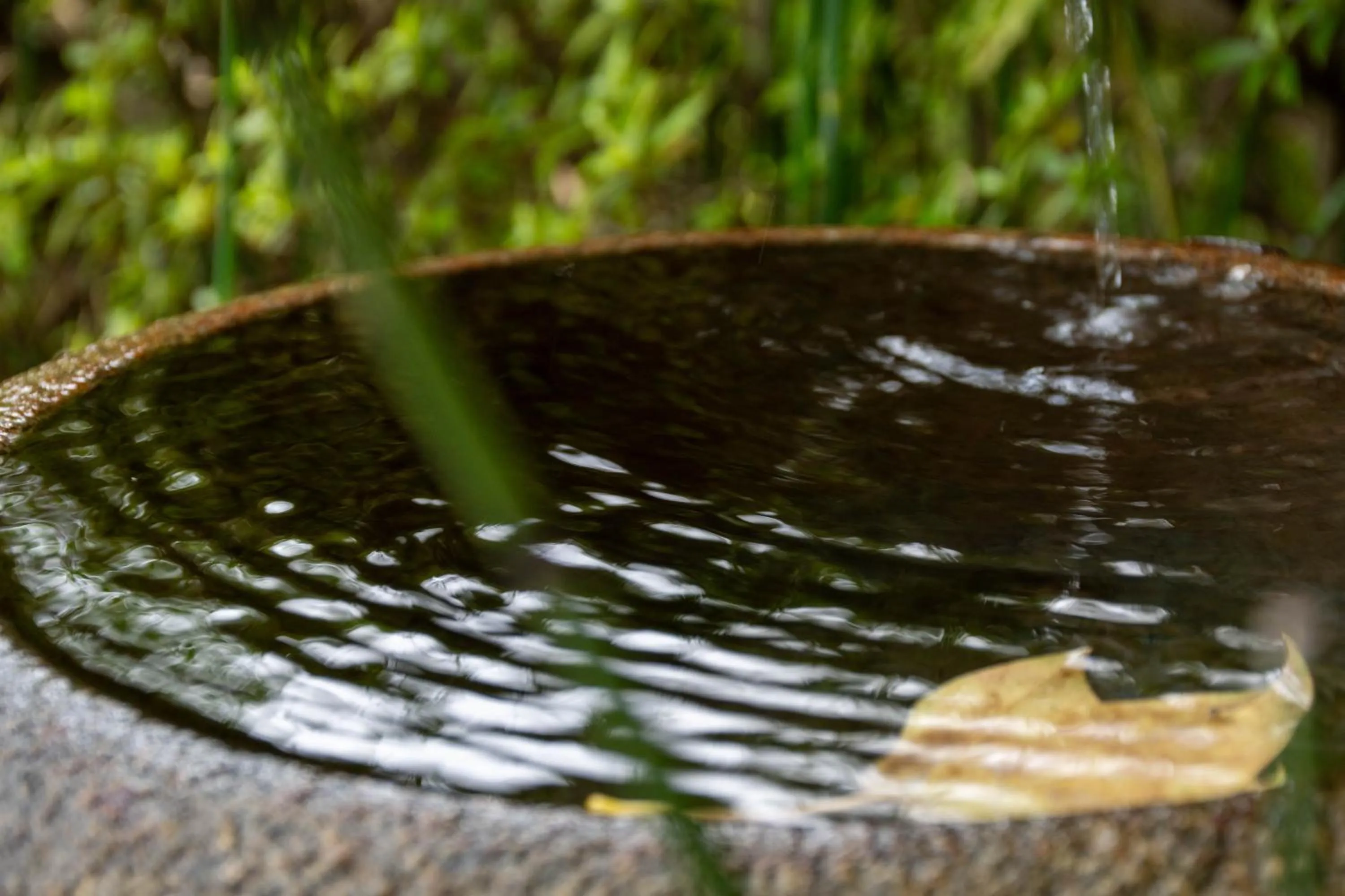 Day in Hanare Yado Yosizumi