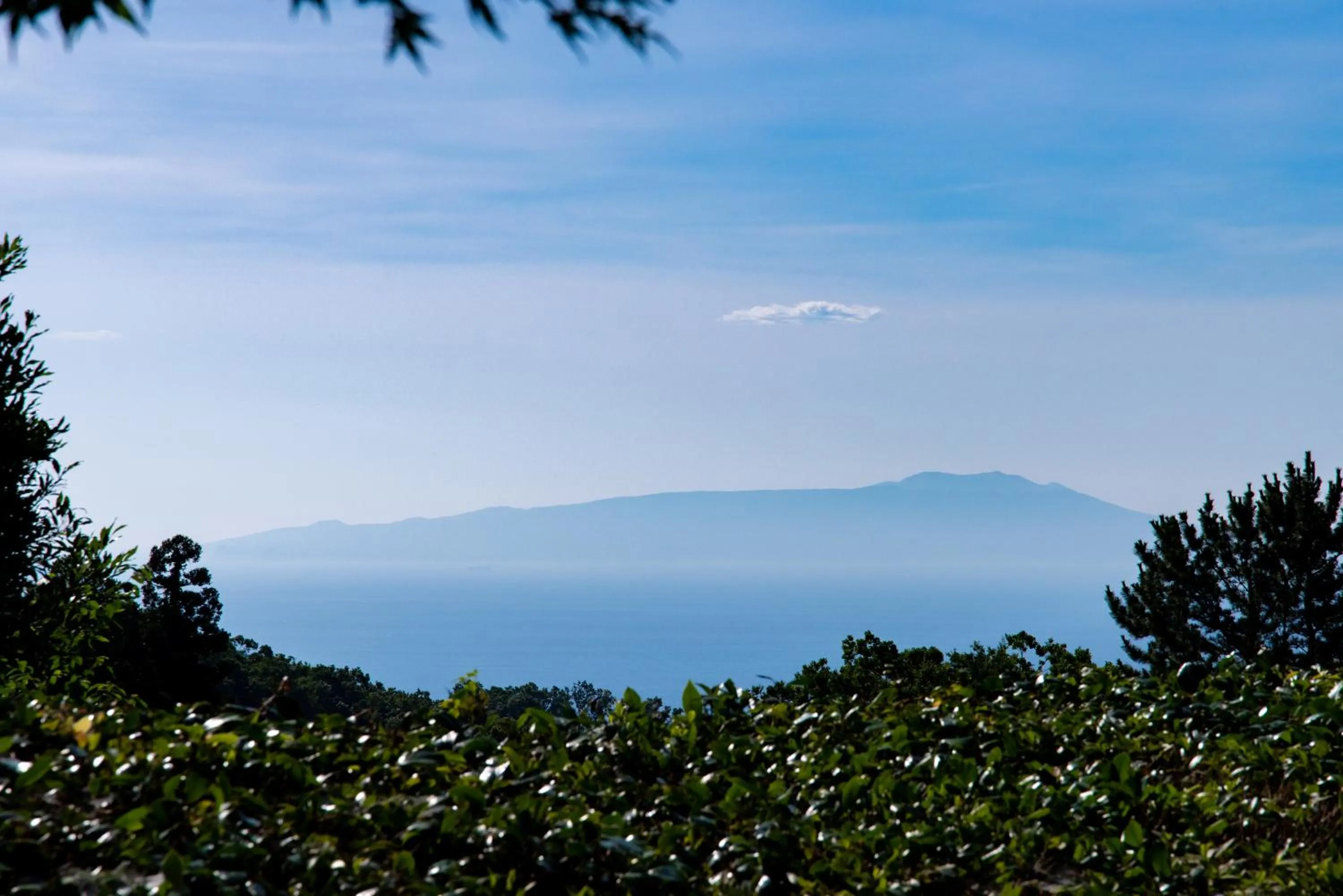 Day in Hanare Yado Yosizumi