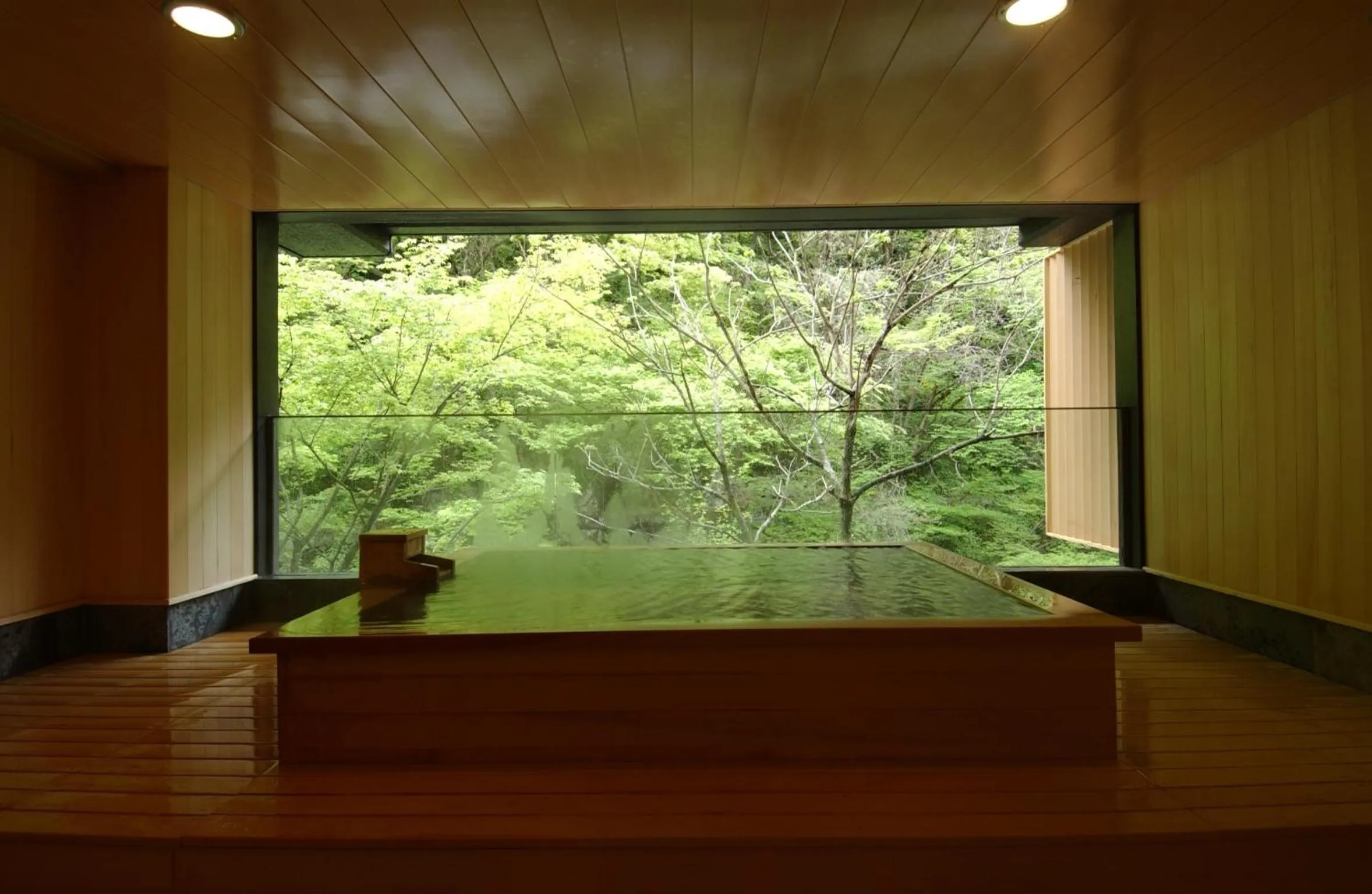 Hot Spring Bath in Harataki