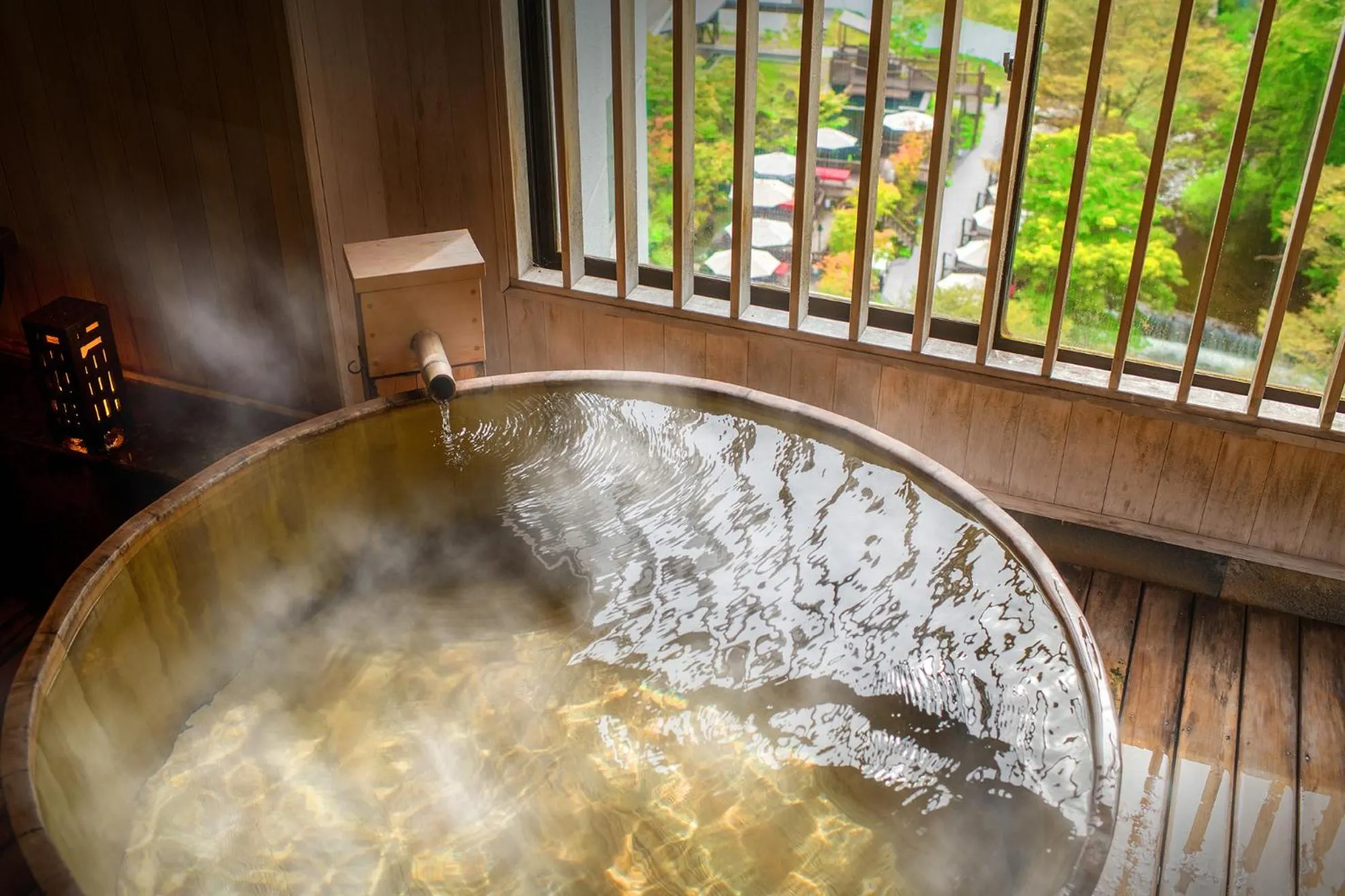 Hot Spring Bath in Harataki