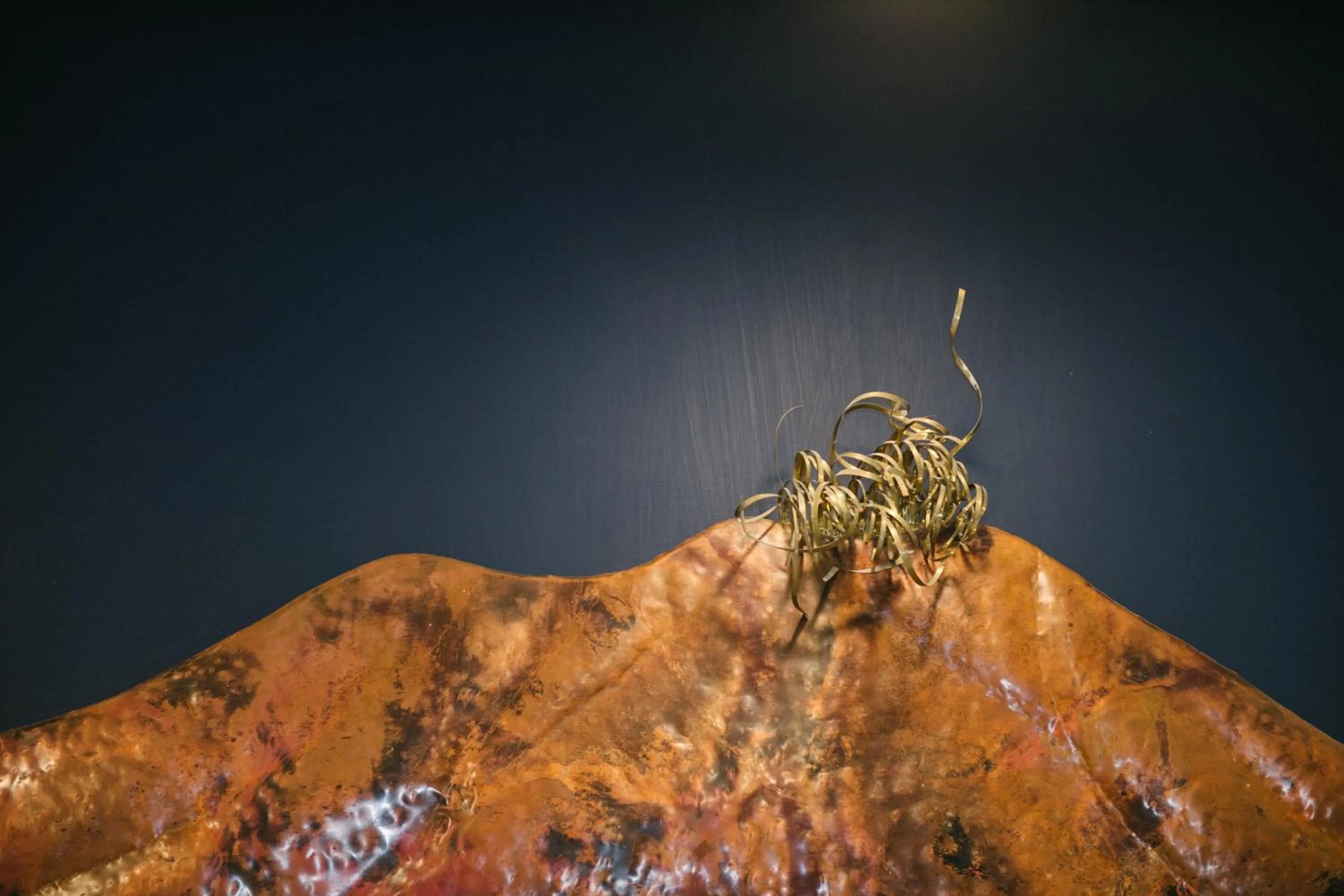 Balcony/Terrace in Airone Hotel