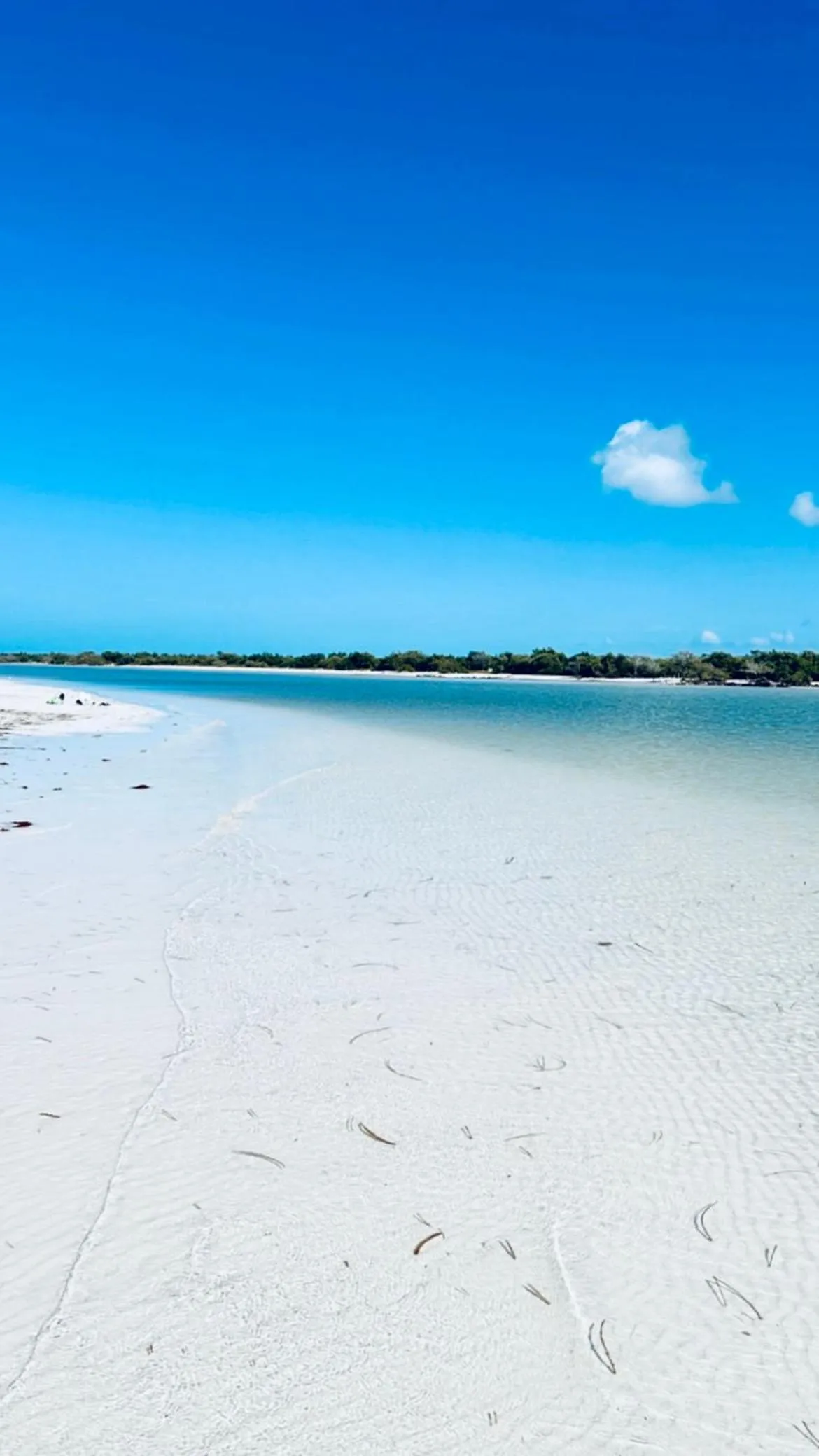 Beach in Casa Tekio Holbox By Kin Studios