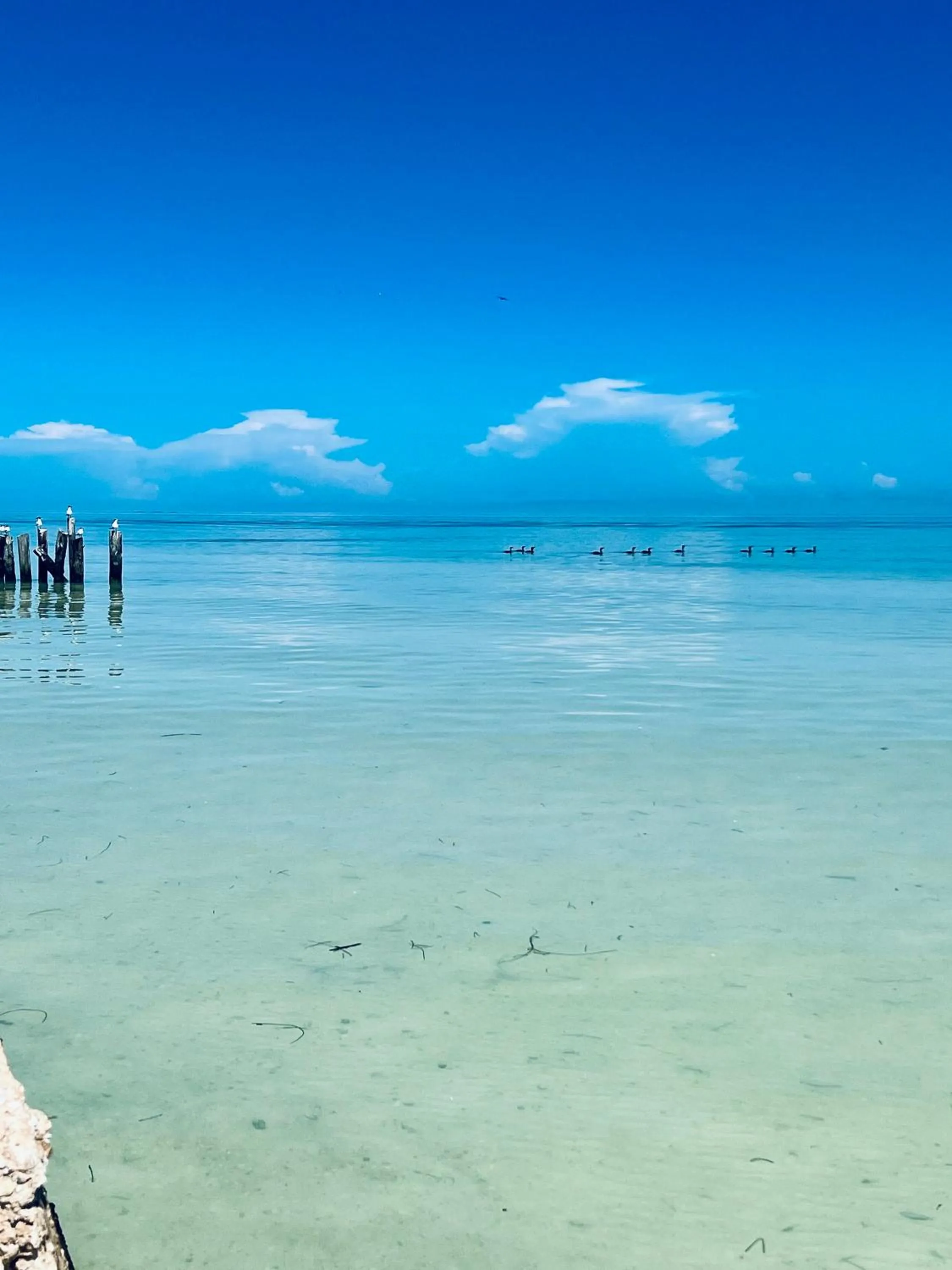 Beach in Casa Tekio Holbox By Kin Studios