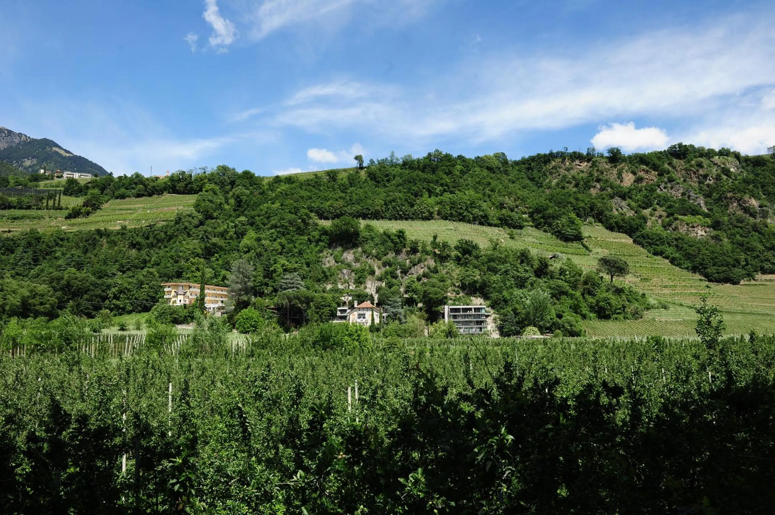 Natural landscape in Villa Tivoli