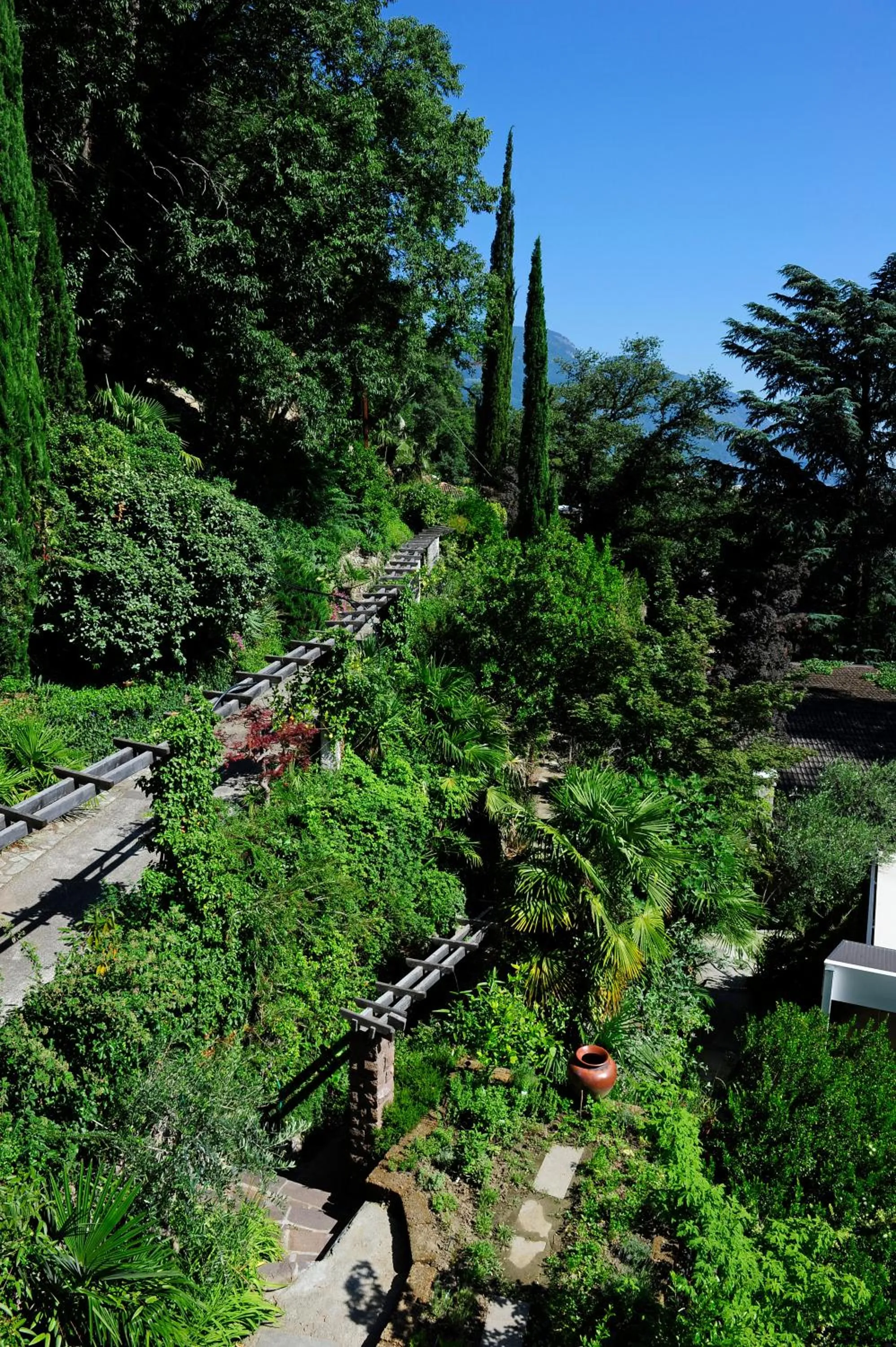 Garden in Villa Tivoli