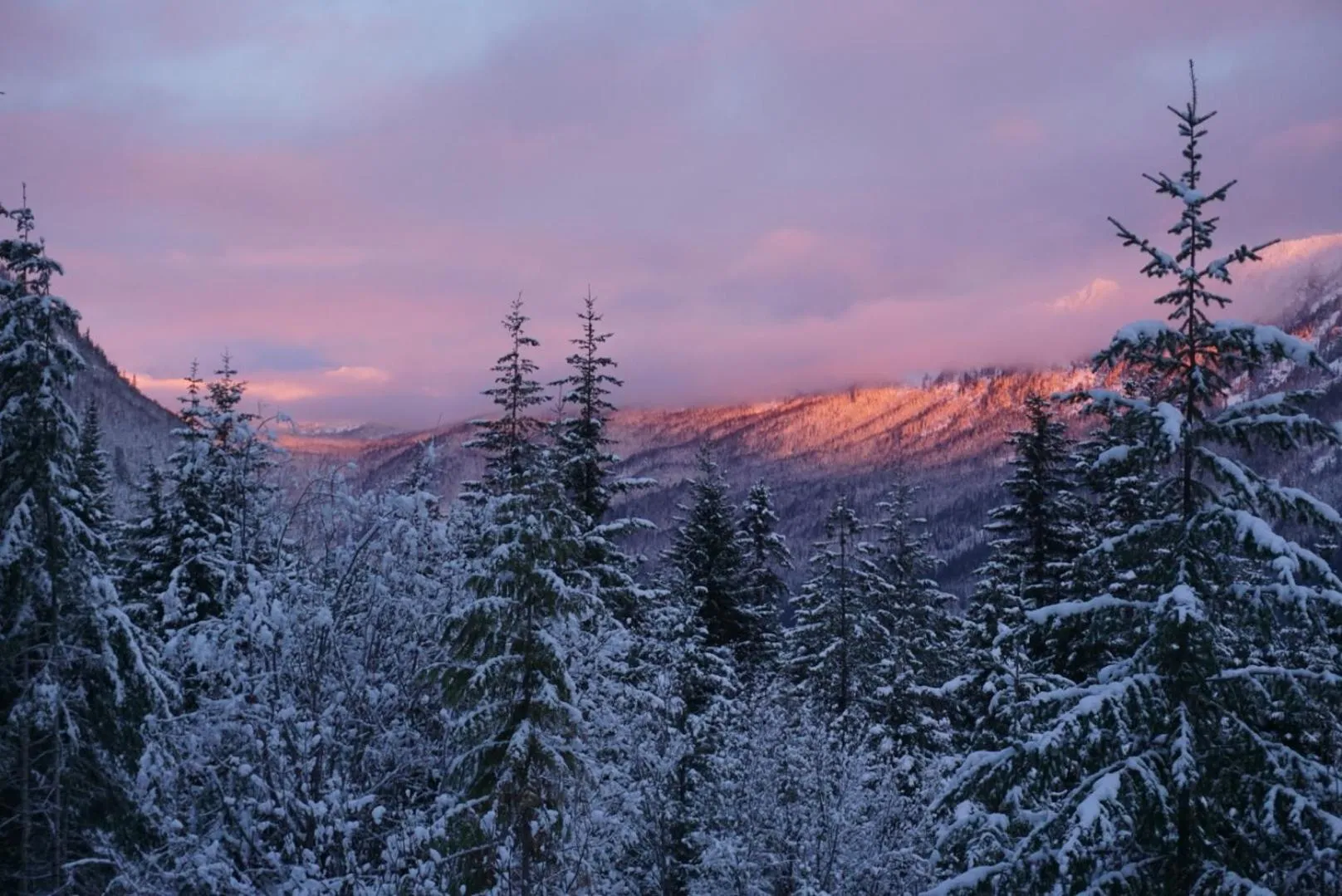 Hot Tub Cool Views: Roaring Creek Cabin