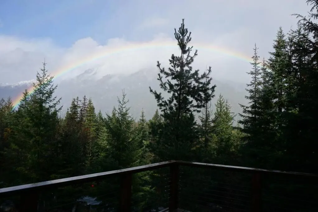 Hot Tub Cool Views: Roaring Creek Cabin