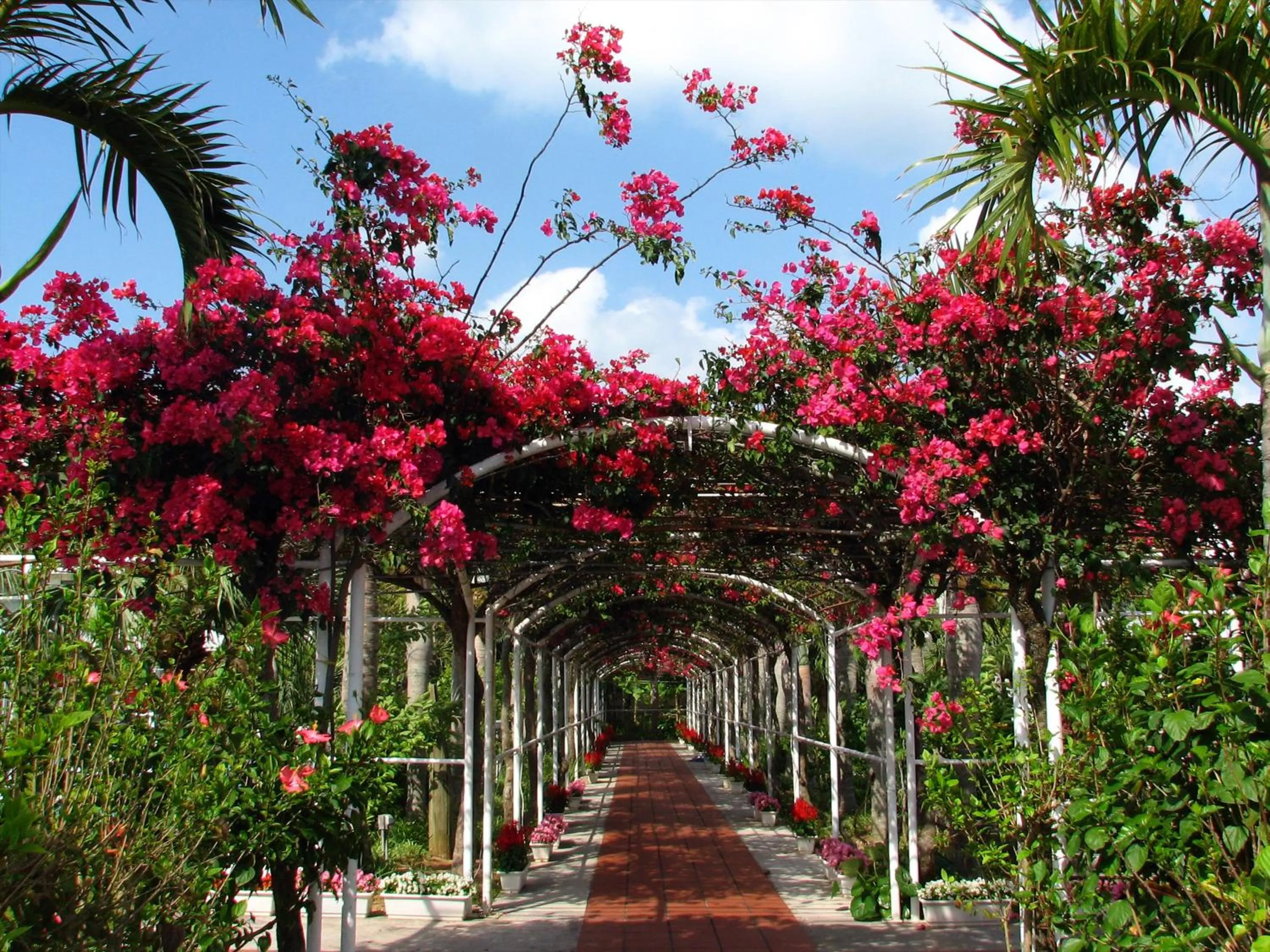 Garden in Watermark Hotel Okinawa Kume Island