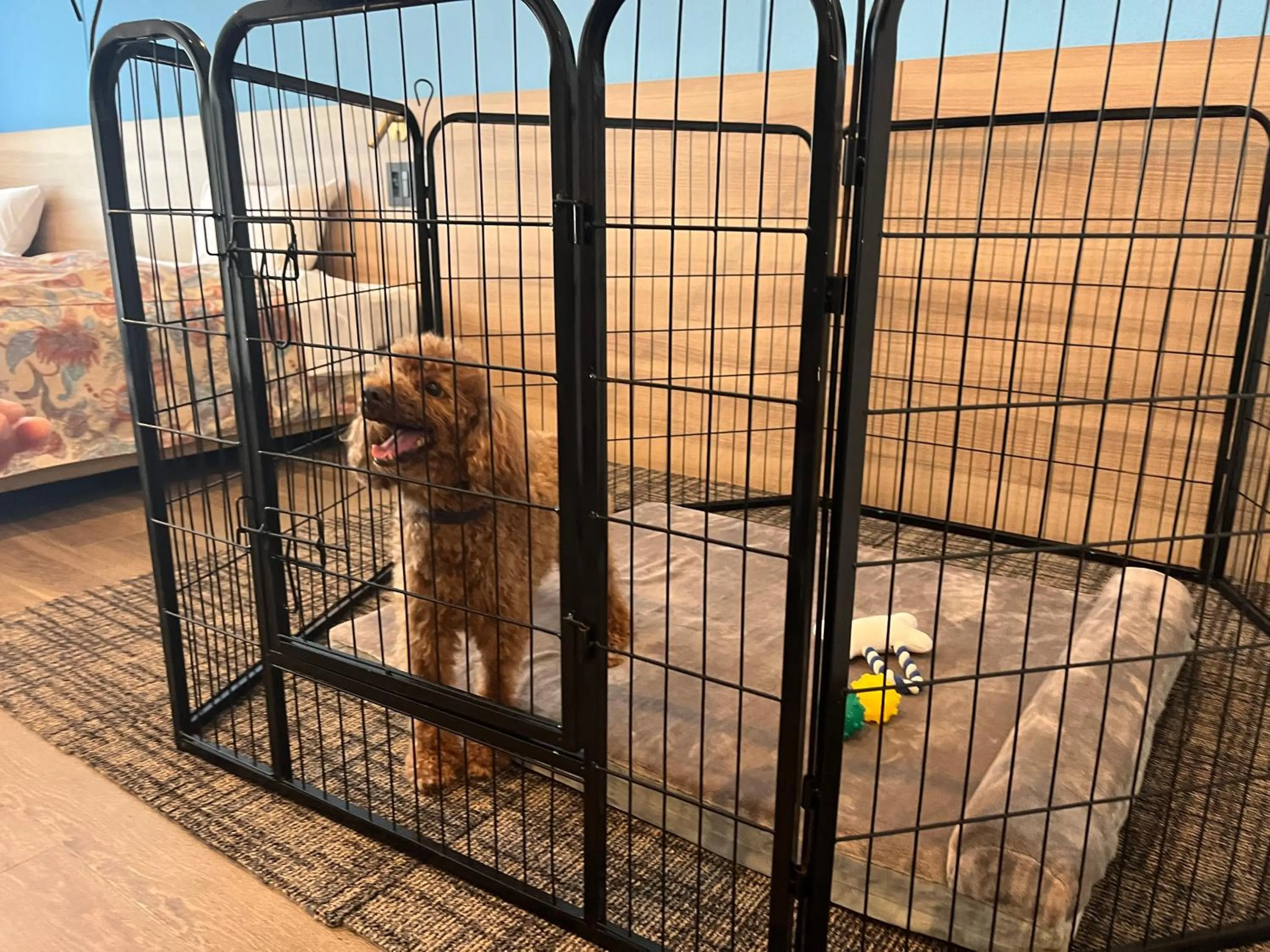 Photo of the whole room in Watermark Hotel Okinawa Kume Island