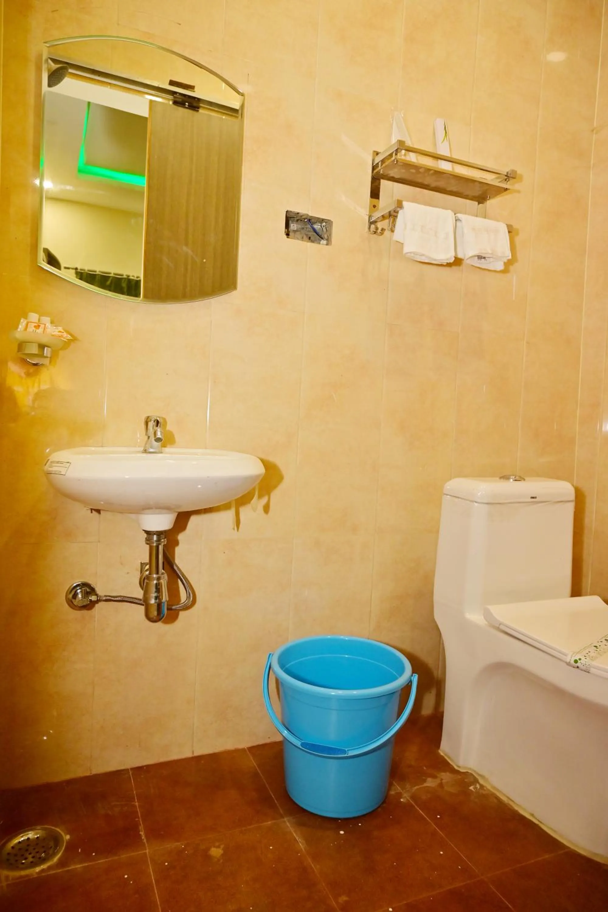 Toilet in Bluebells Varanasi