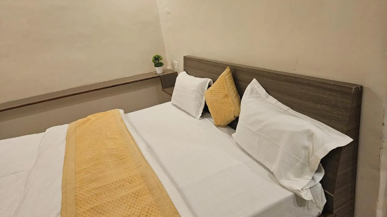 Bed in Bluebells Varanasi