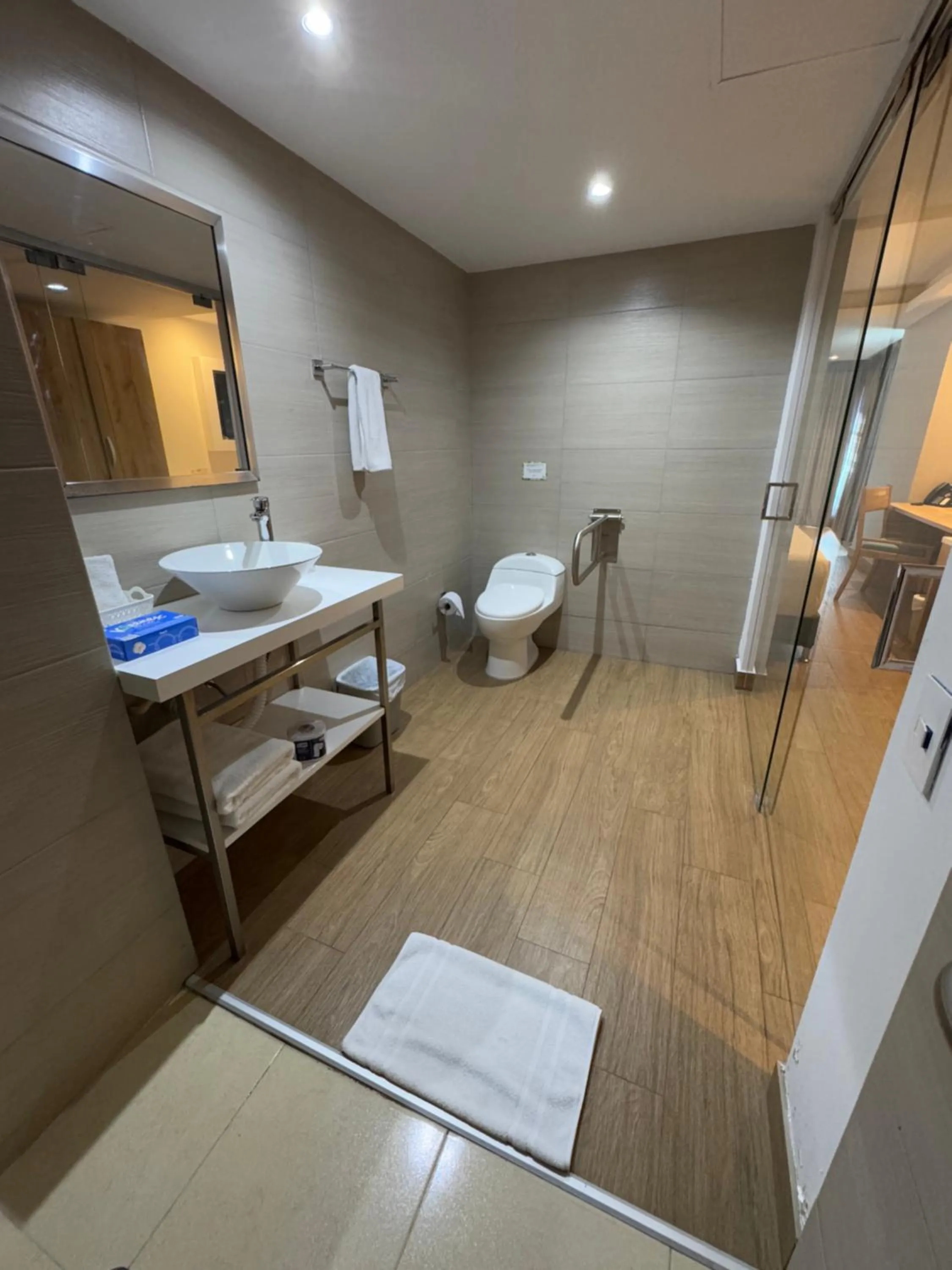 Toilet in Wyndham Garden Cartagena