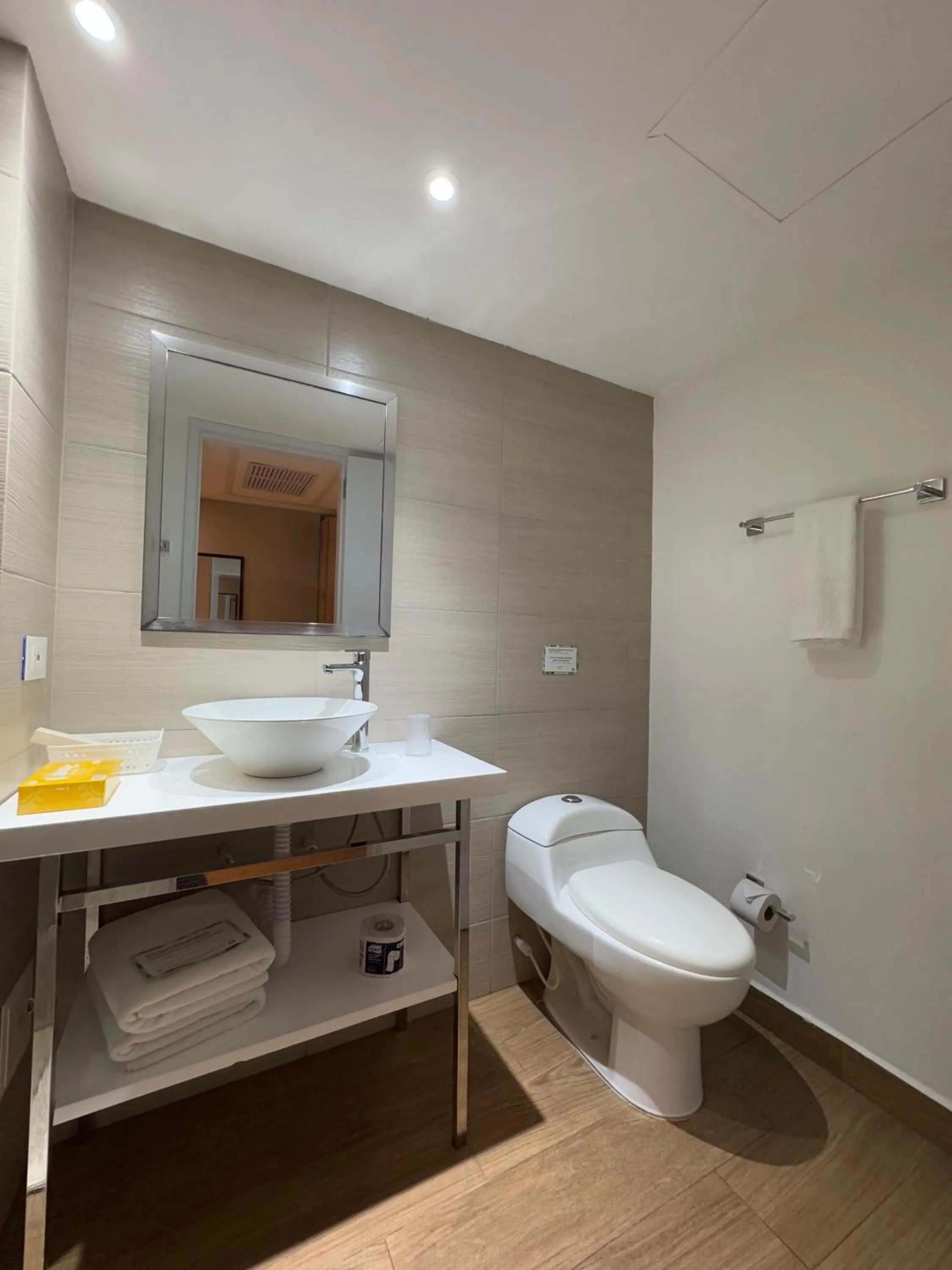 Toilet in Wyndham Garden Cartagena