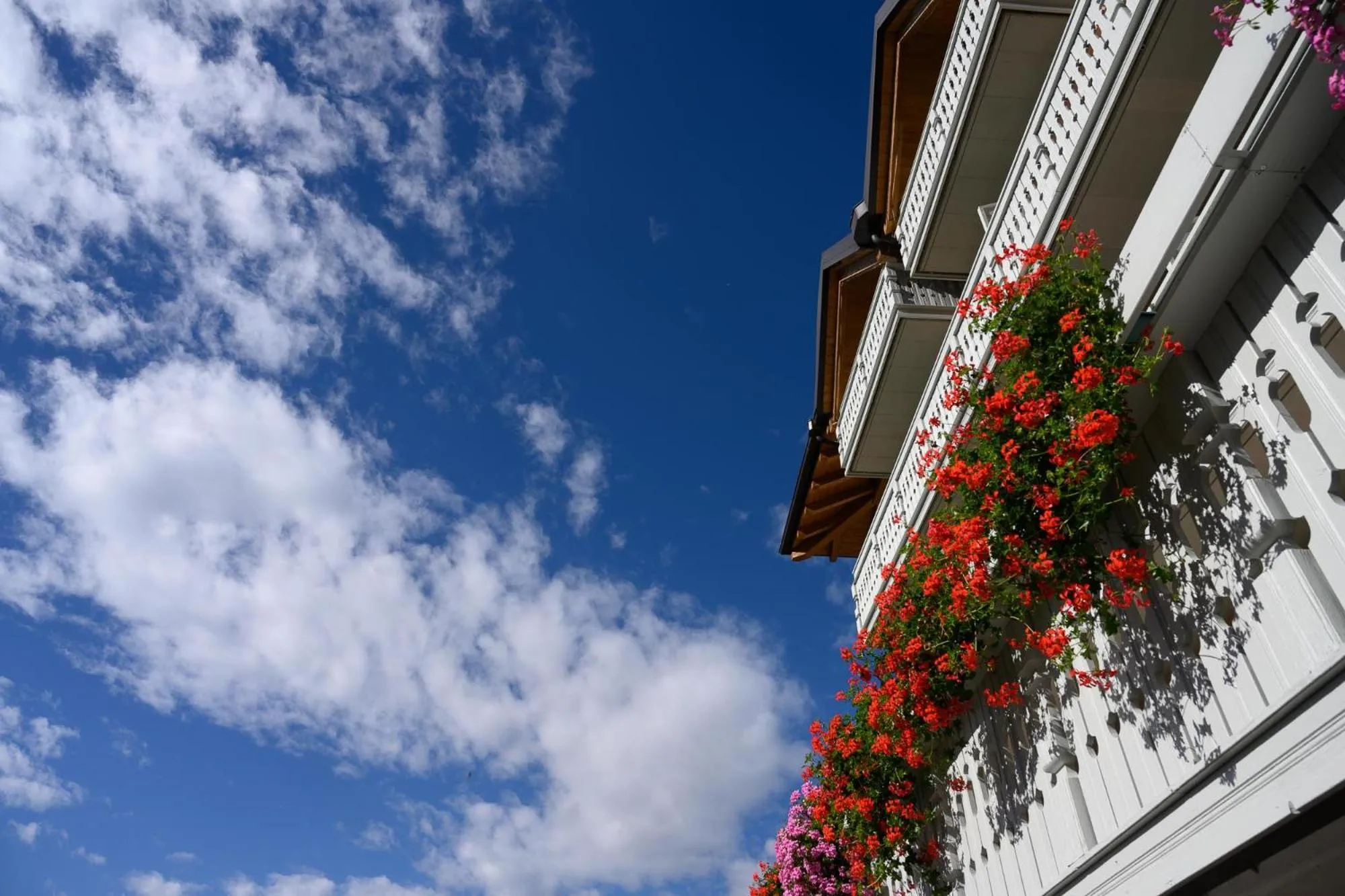 Balcony/Terrace in Hotel Dolomiti