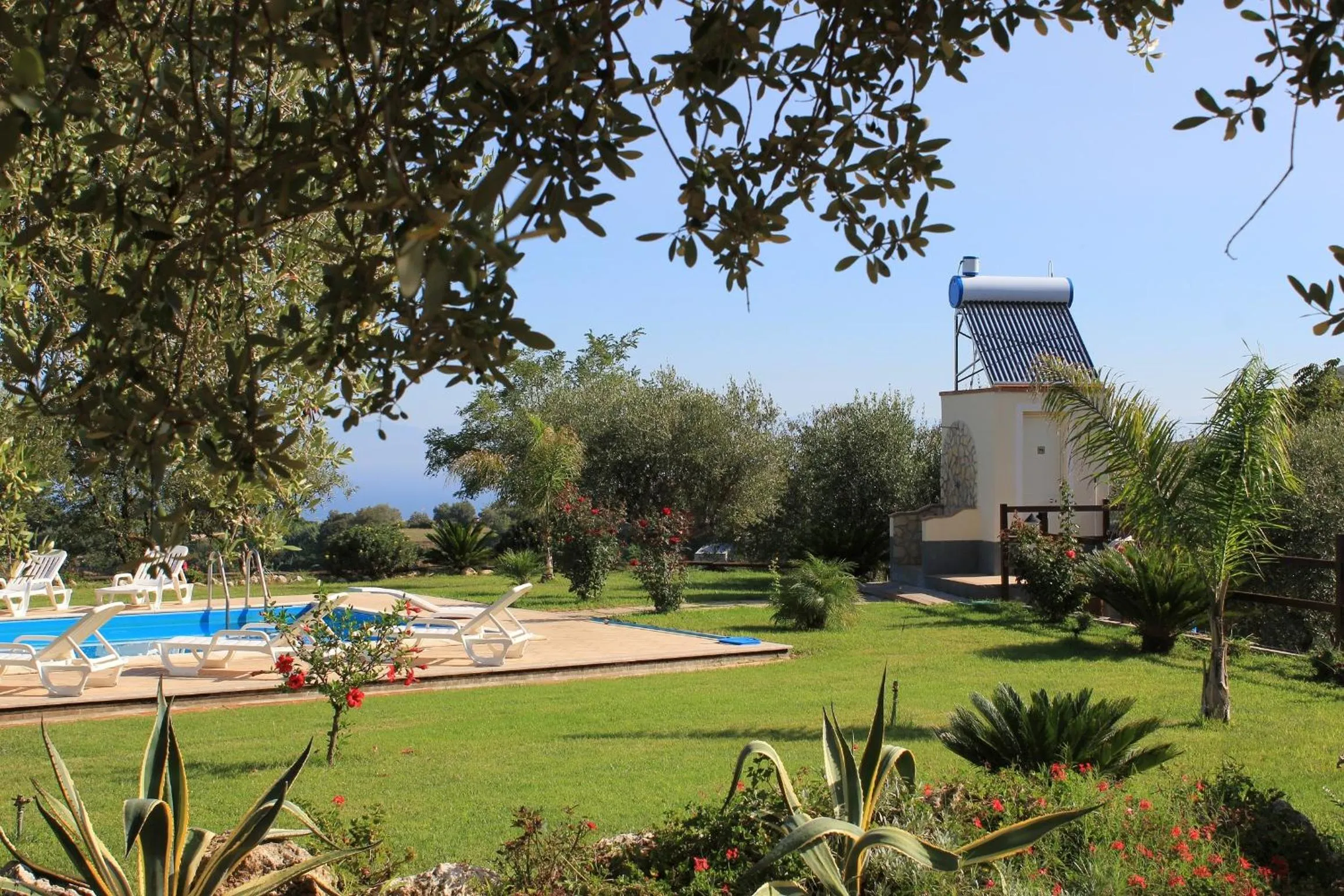 Garden in Villa Garden