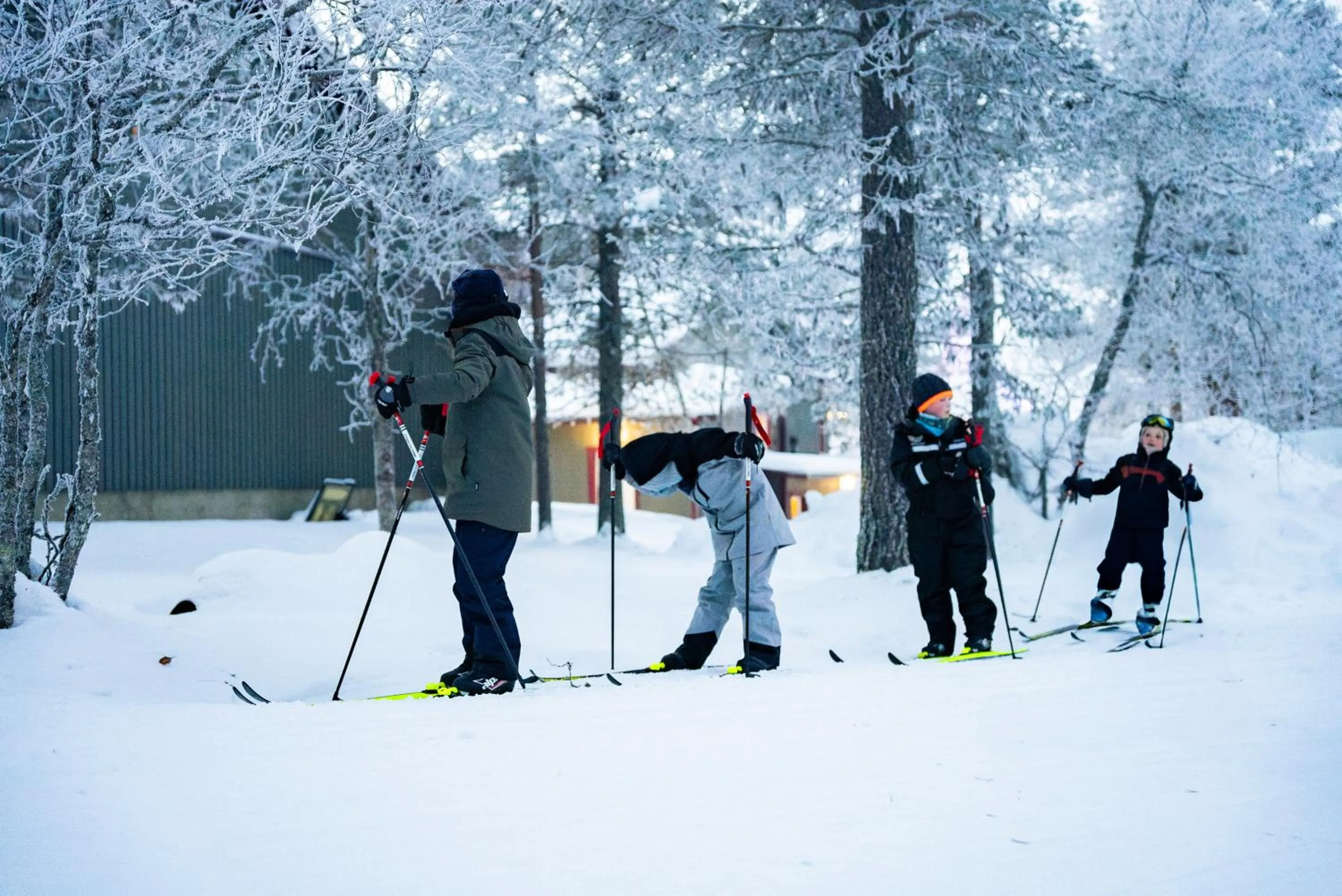 Activities in Kuukkeli Apartments Teerenpesue E 33