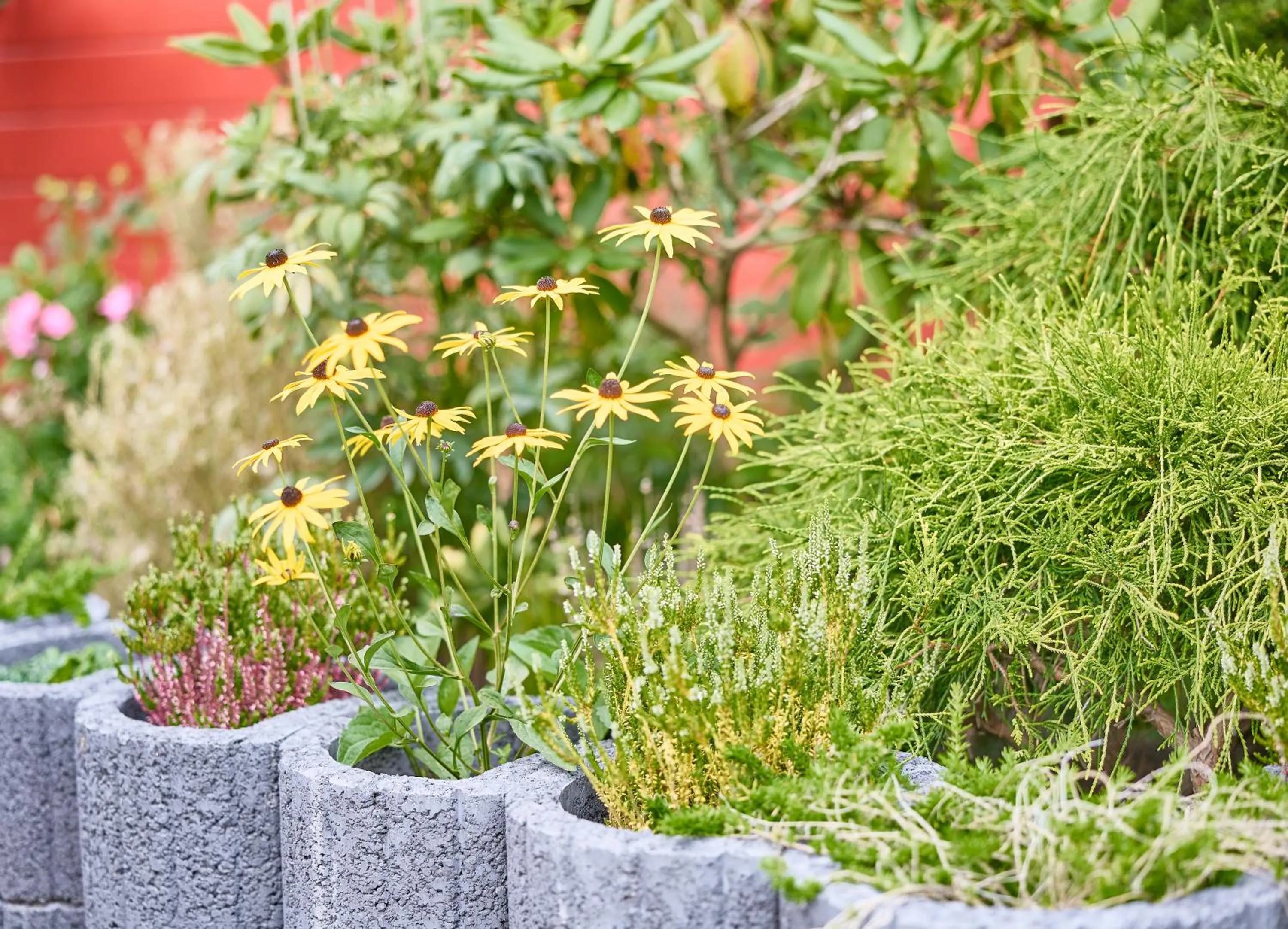 Garden in Haus Mühlentrift Döse