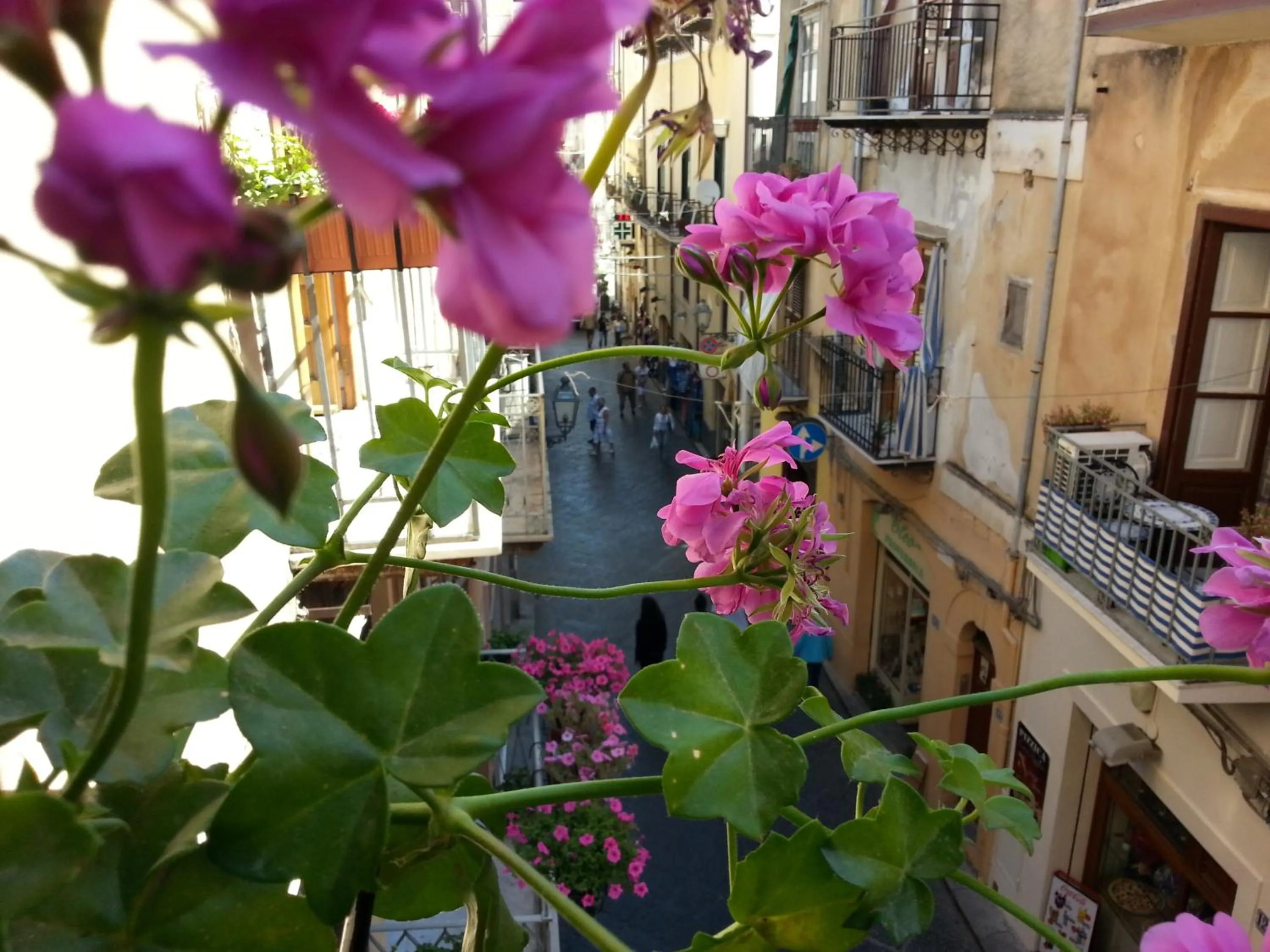 View (from property/room) in B&B Del Corso
