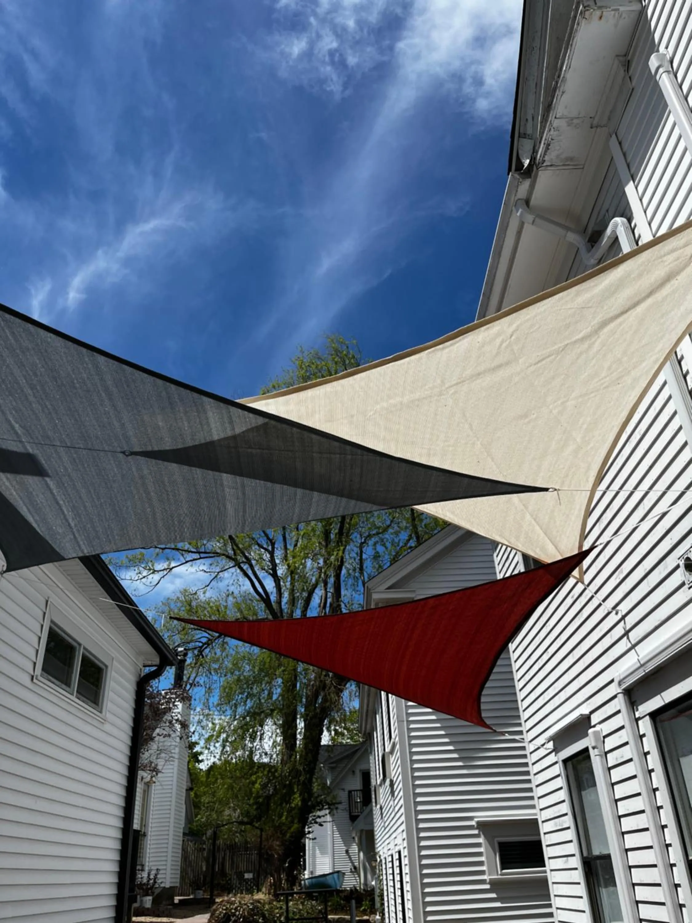 Queen Anne's Revenge