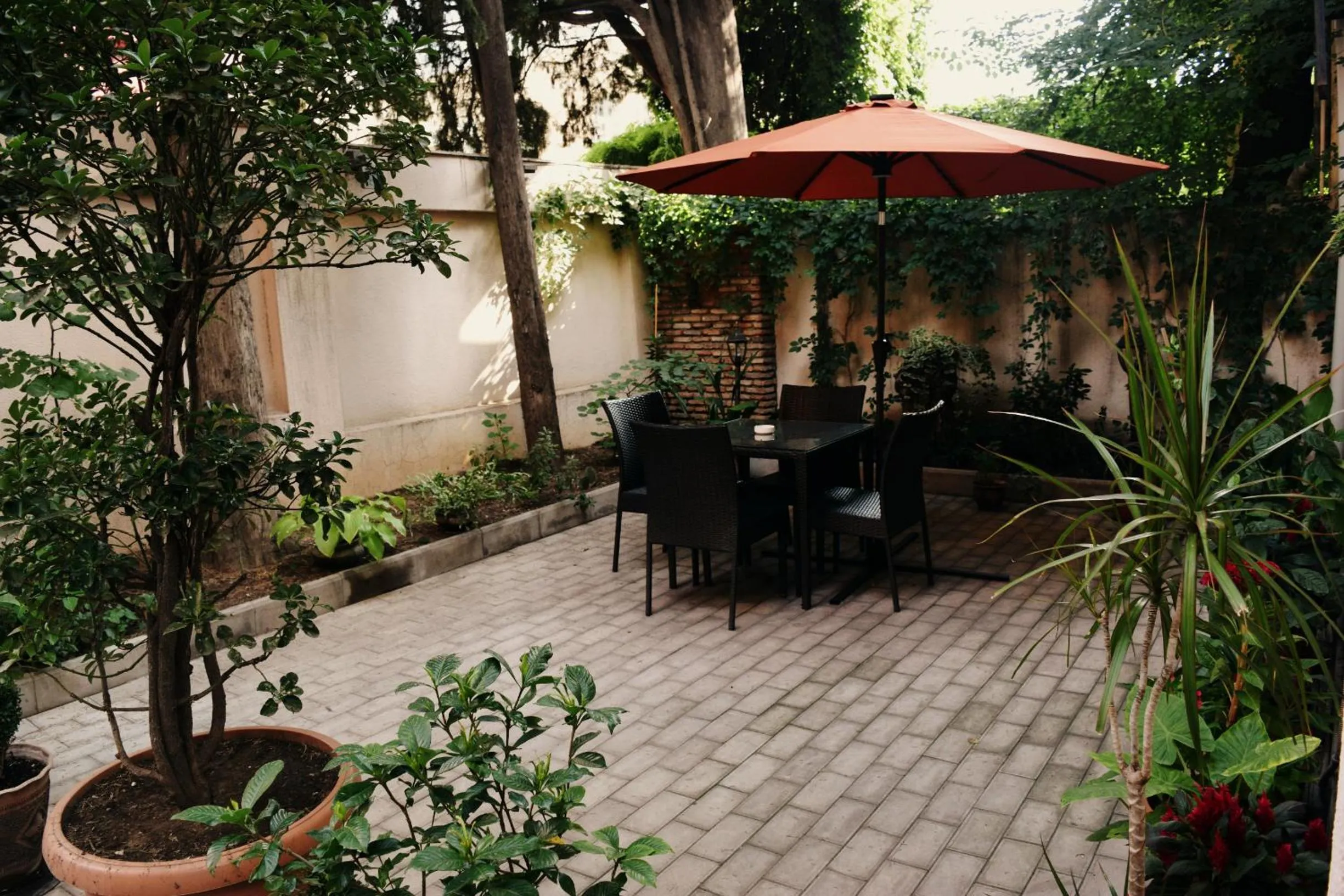 Garden in Hotel Darchi