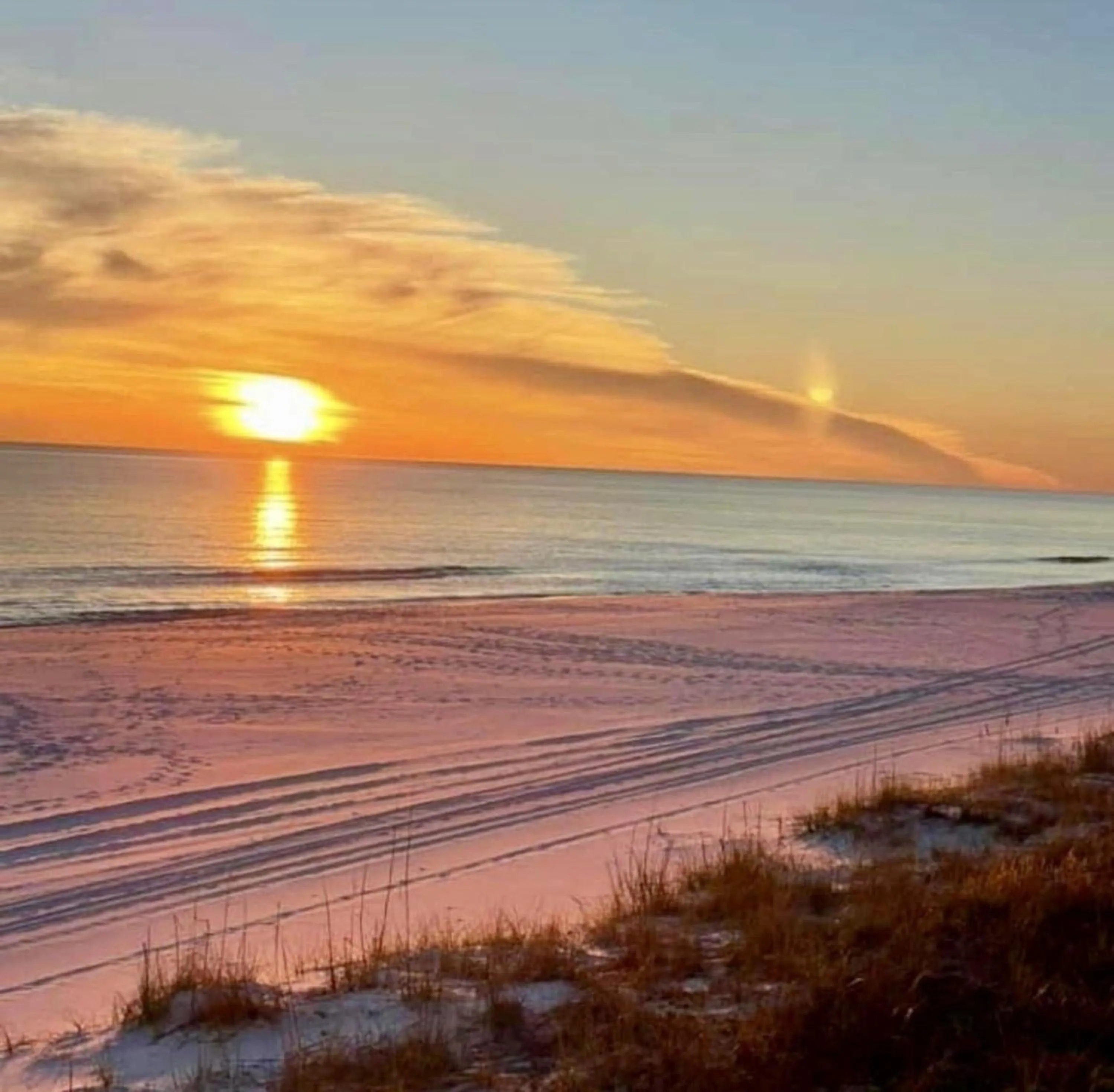 Natural landscape in Destin Holiday Beach Resort